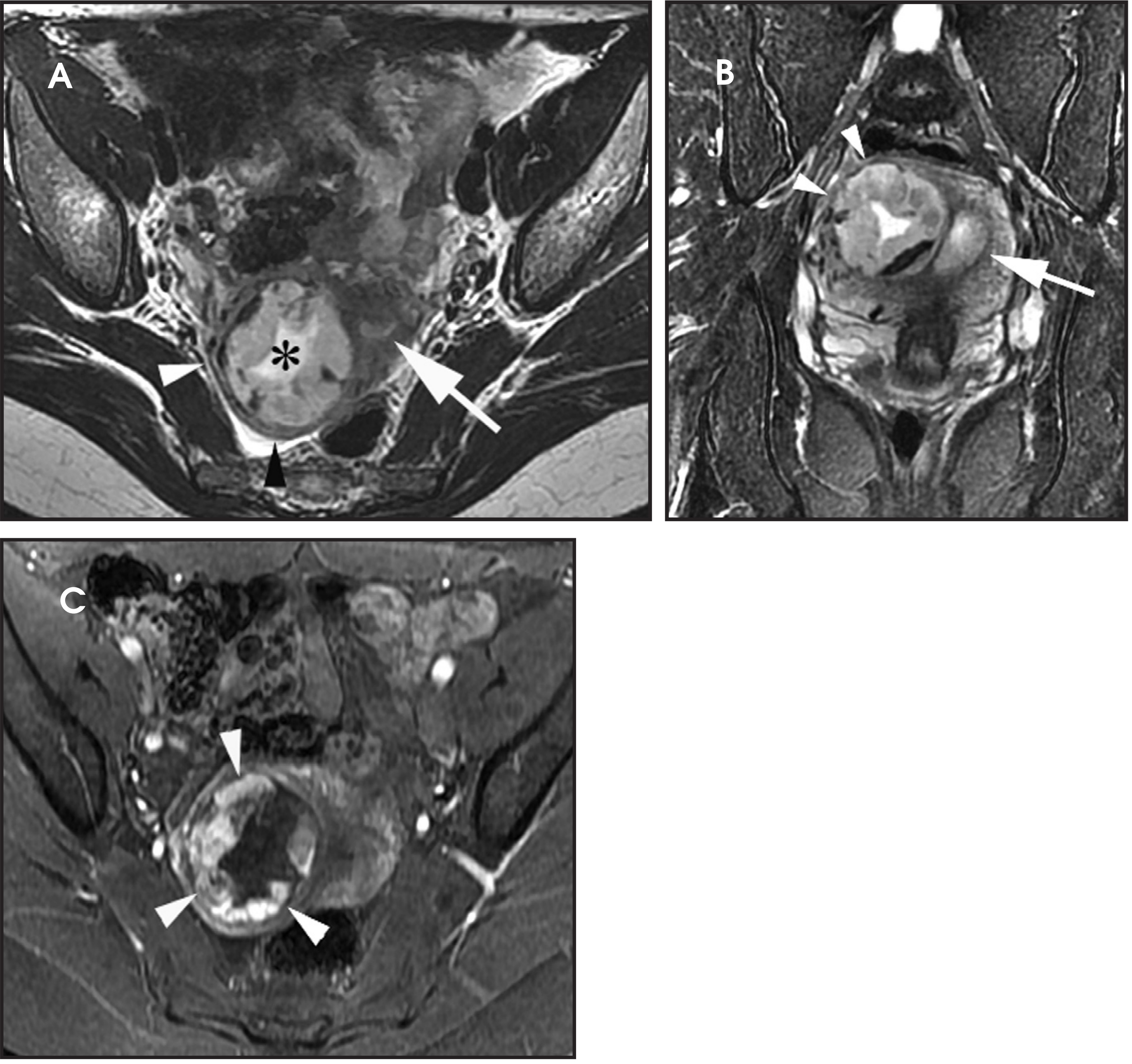 FIGURE 13.