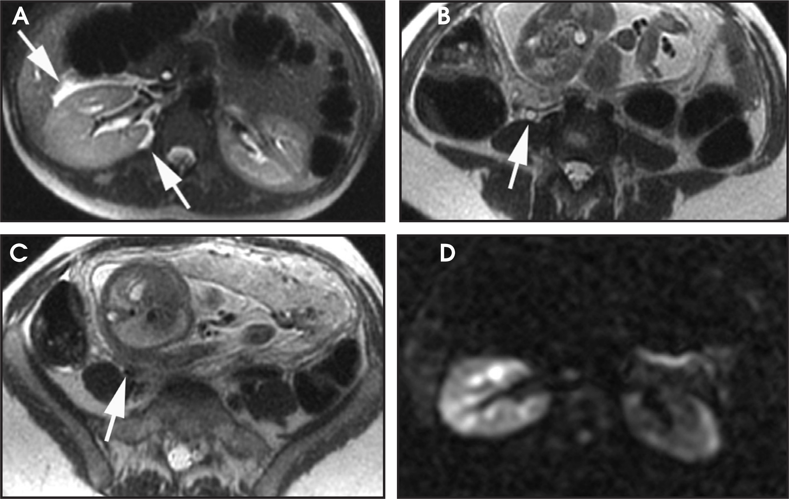 FIGURE 15.