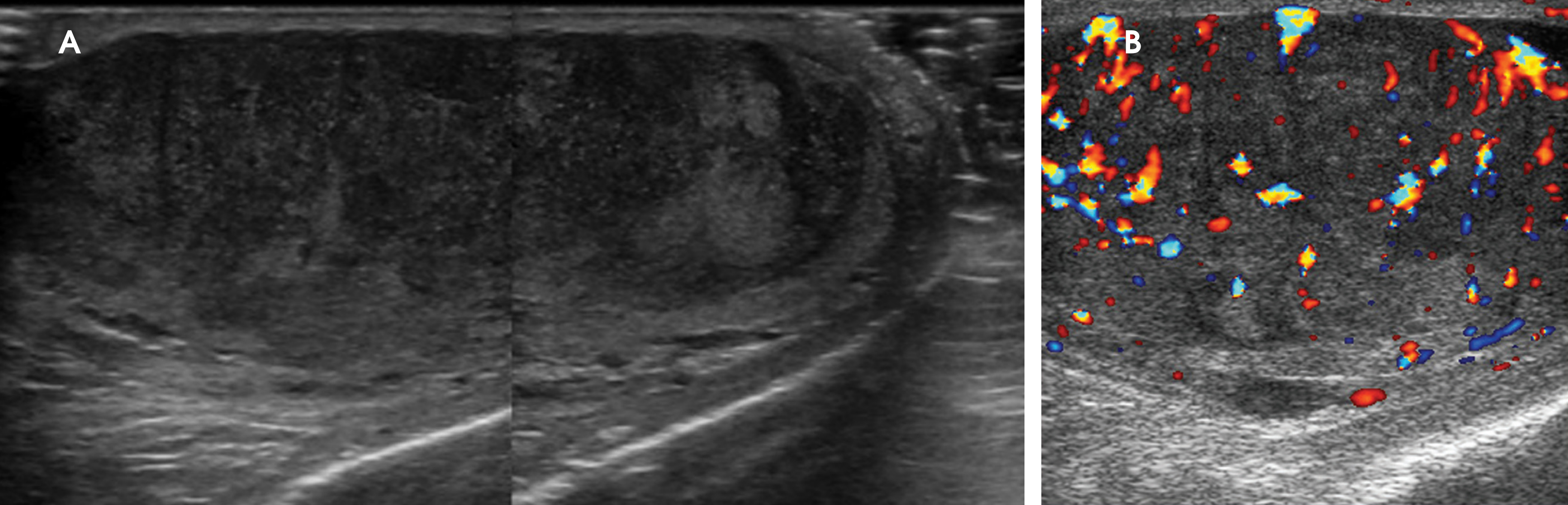 FIGURE 10.