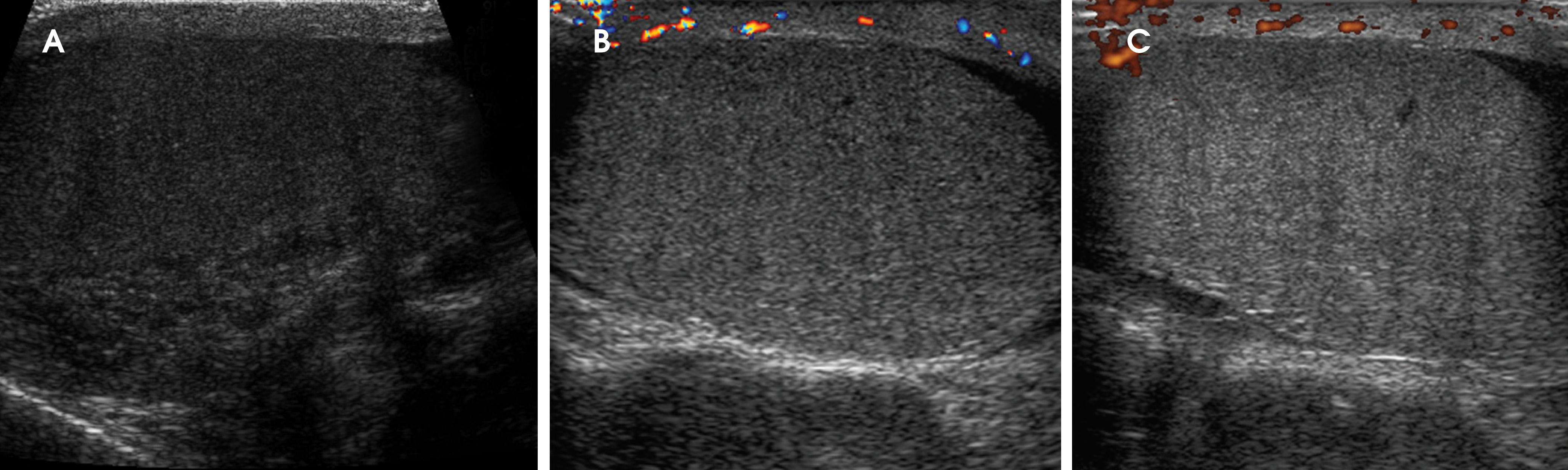 FIGURE 13.