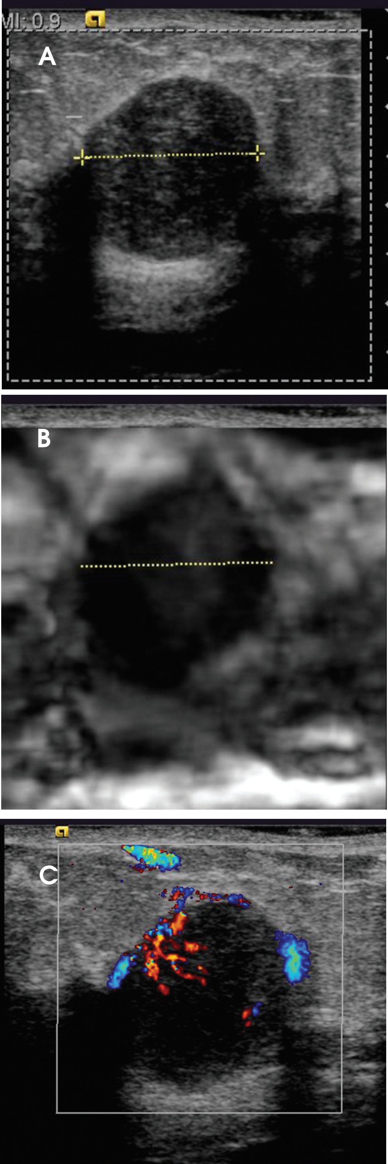 FIGURE 2.
