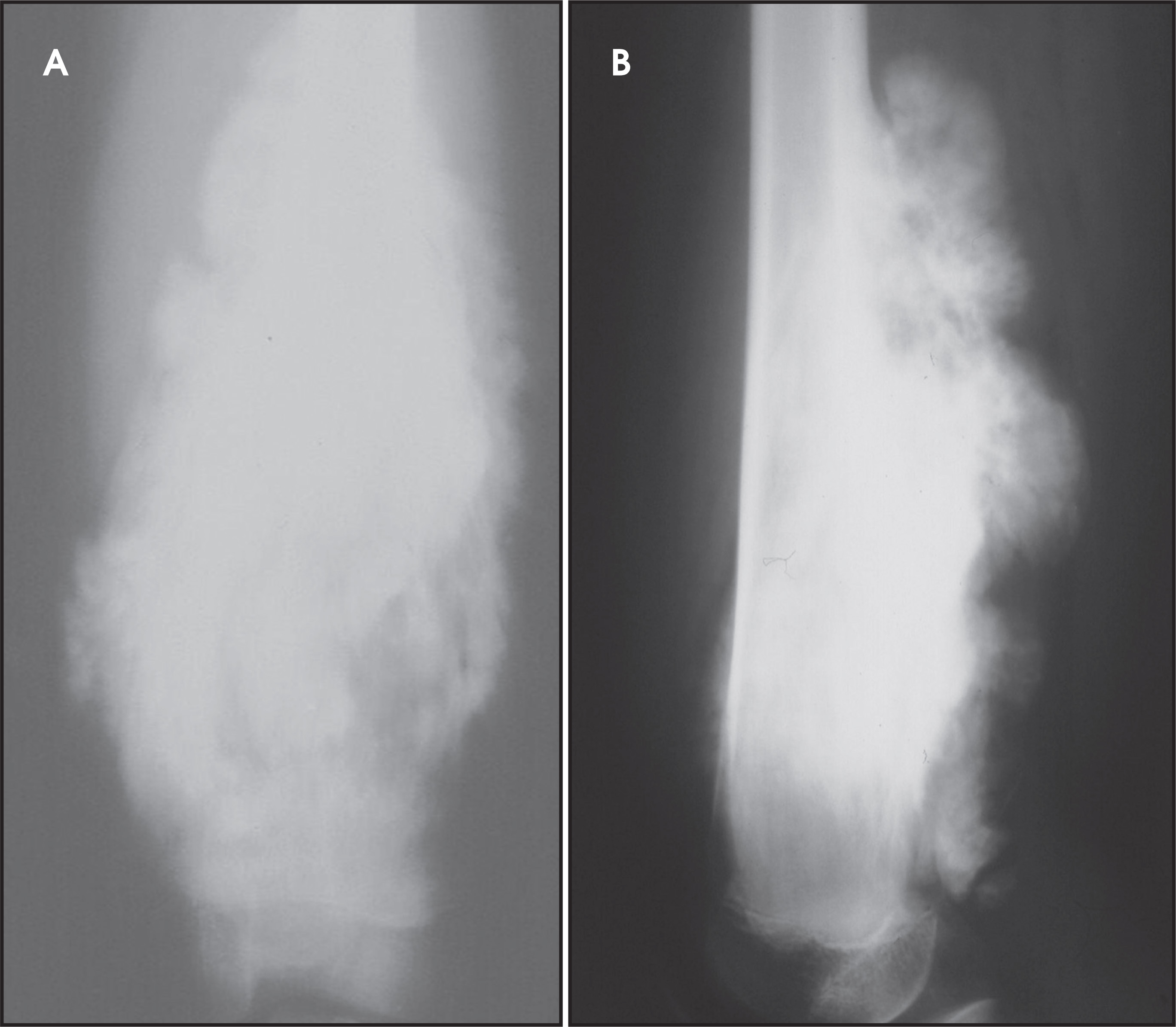 FIGURE 12.
