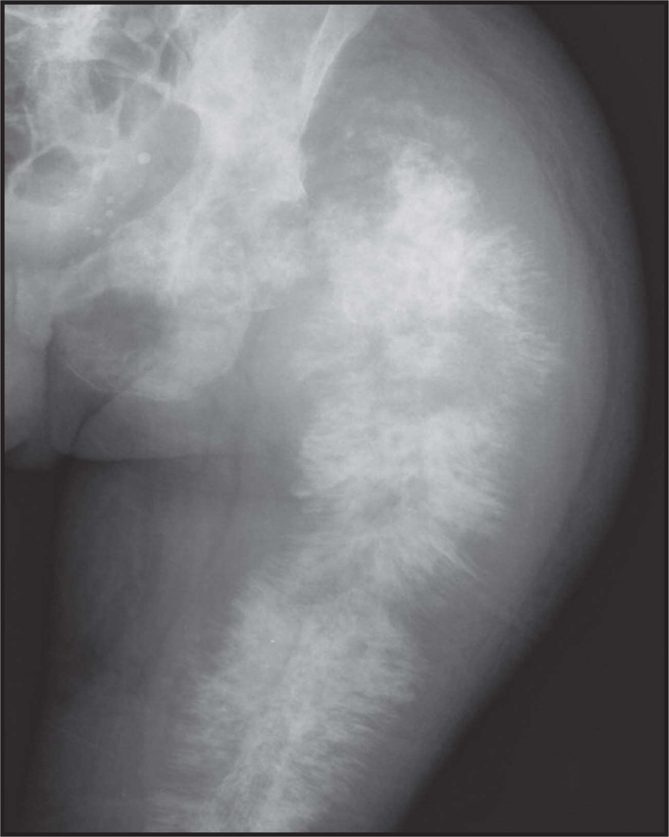 FIGURE 16.