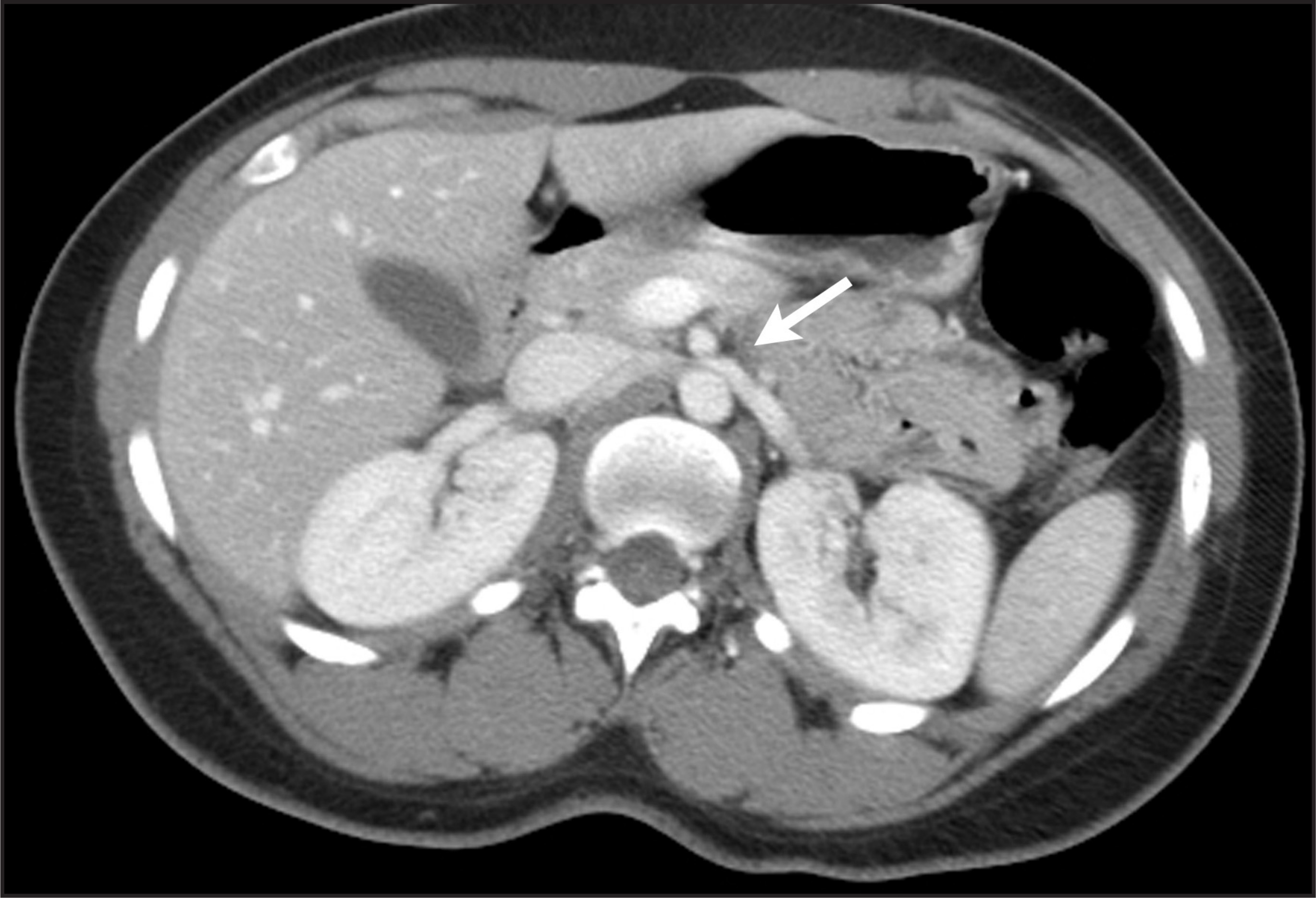 FIGURE 1.