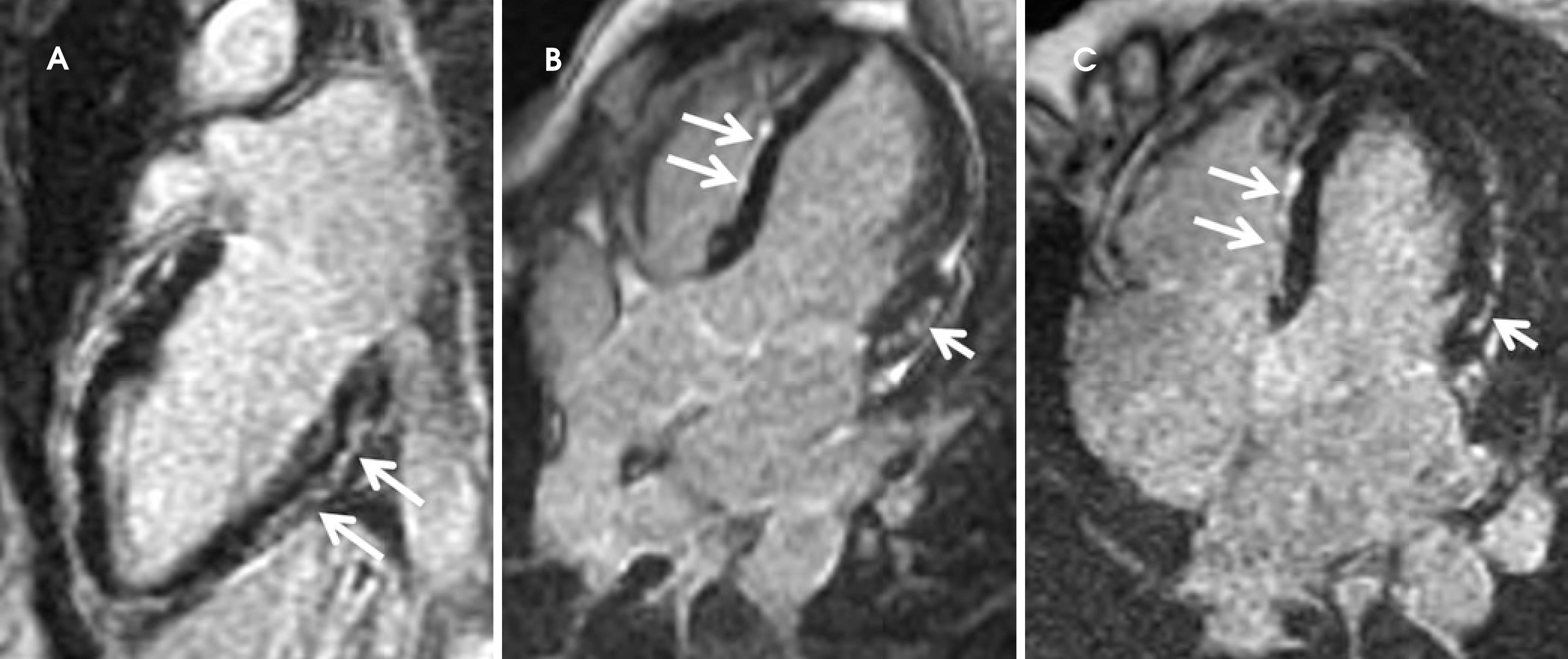 FIGURE 3.