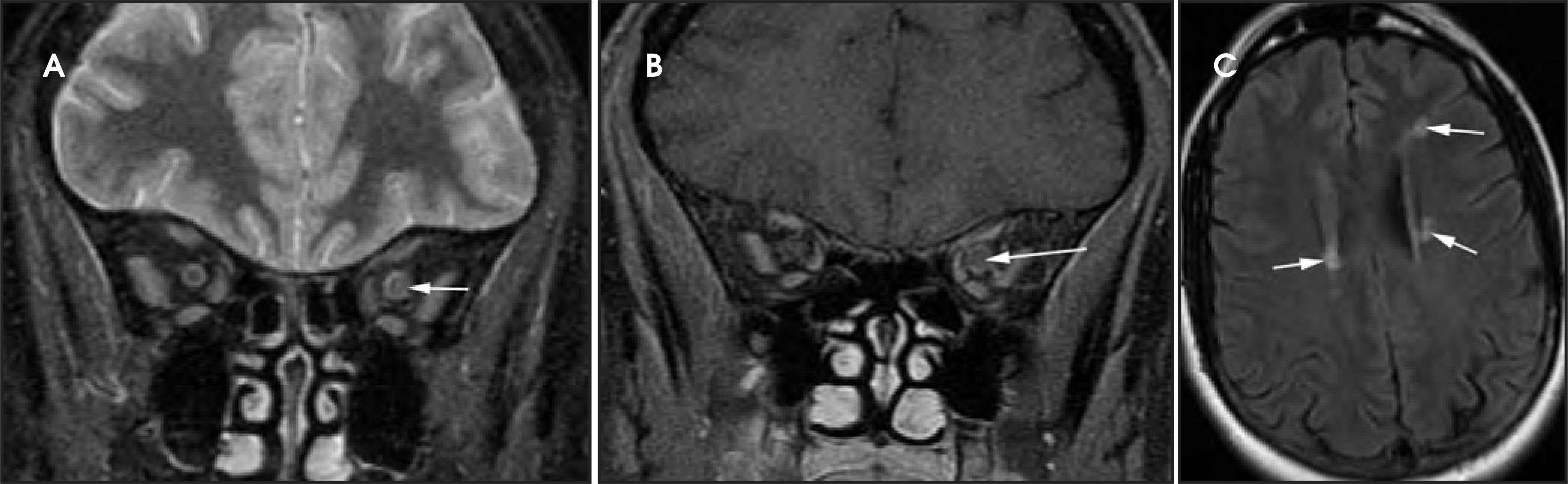 Figure 13.