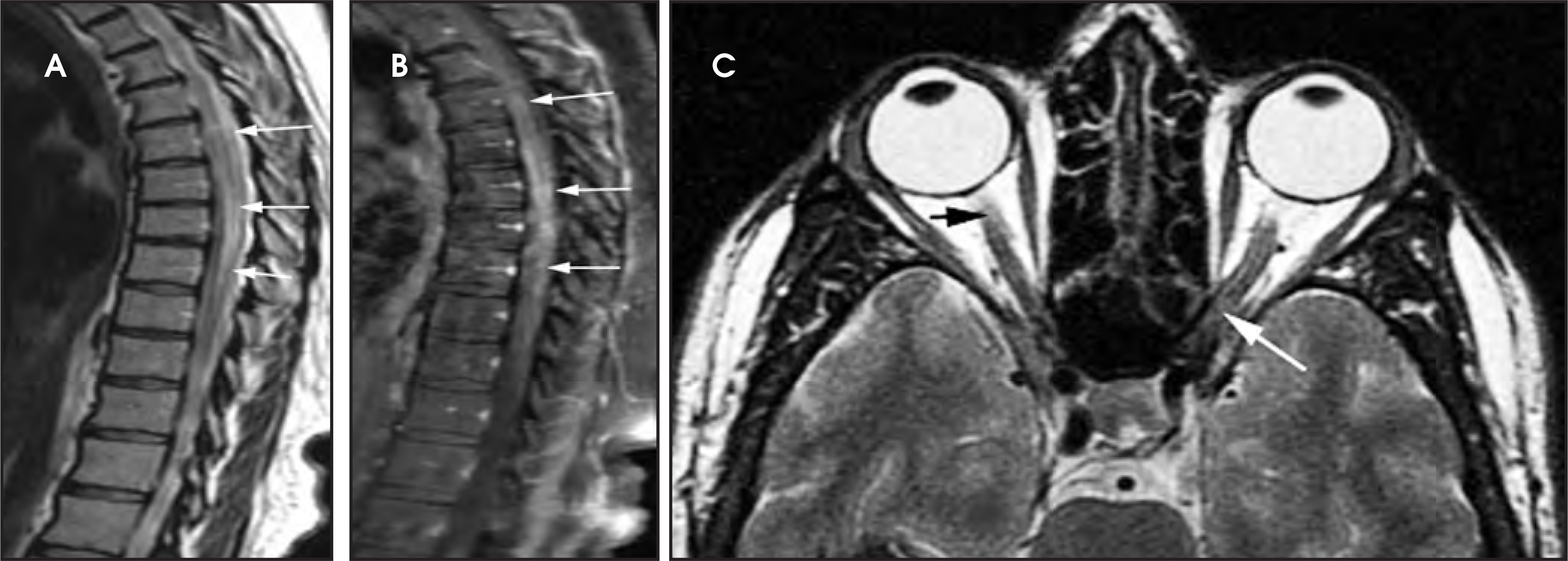 Figure 17.