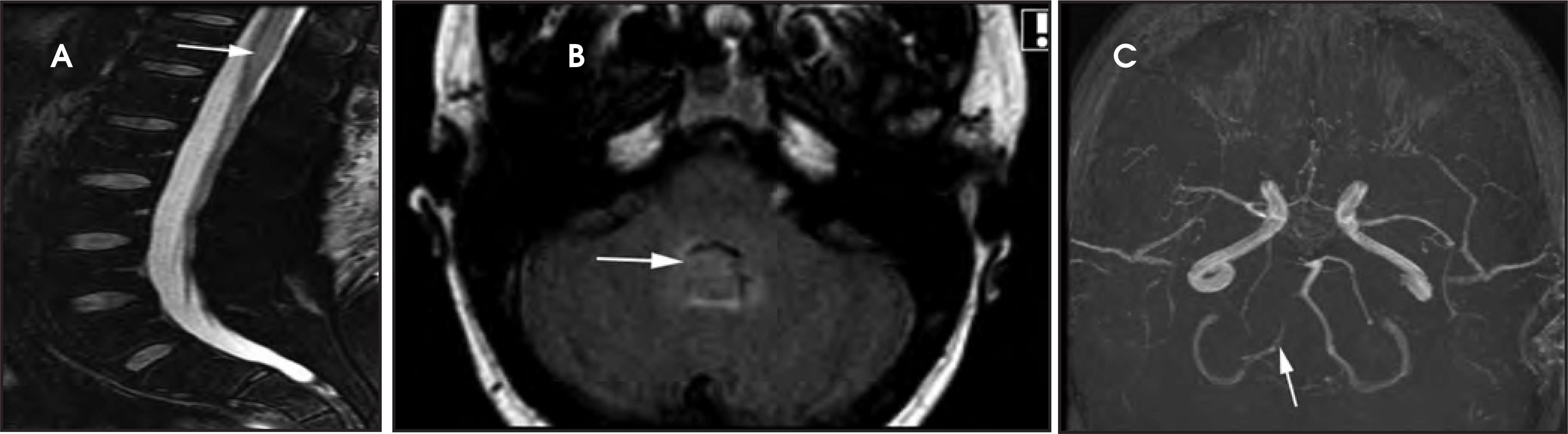 Figure 23.