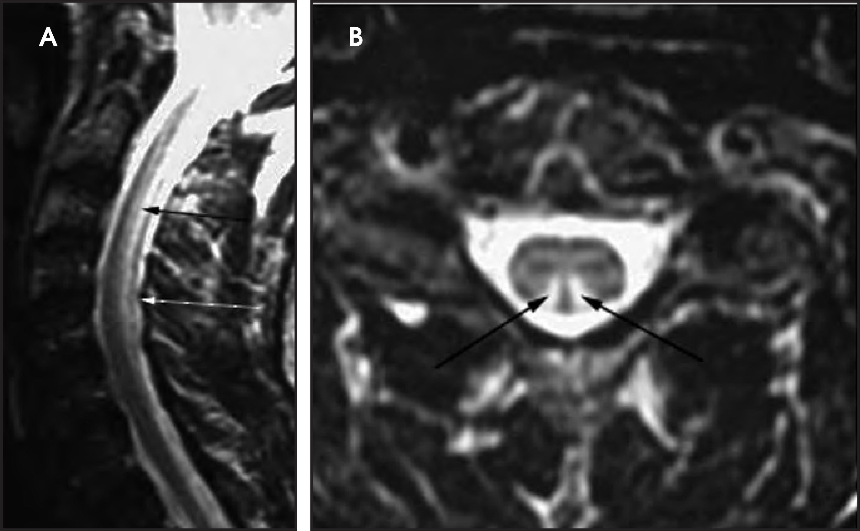 Figure 31.