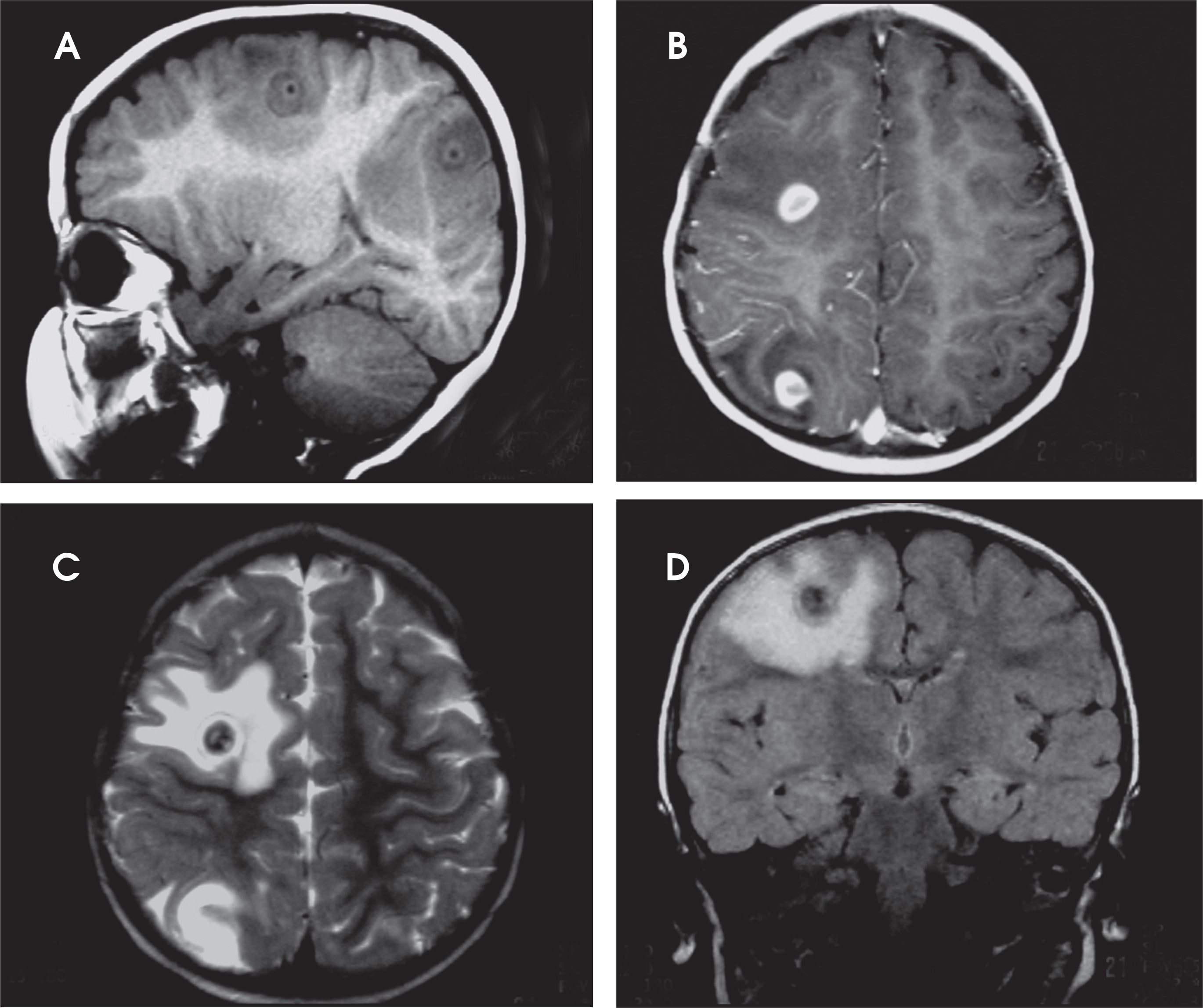 FIGURE 1.