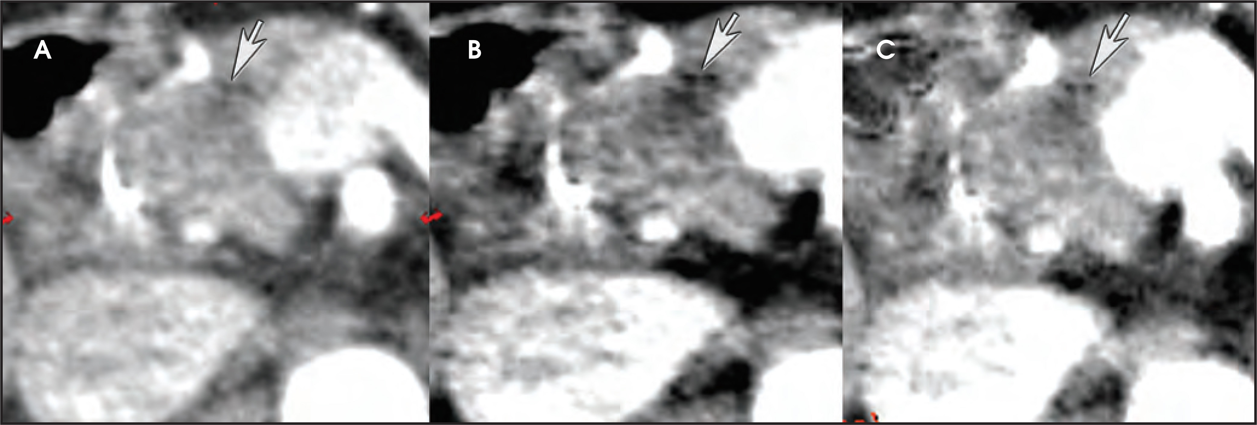 FIGURE 10.