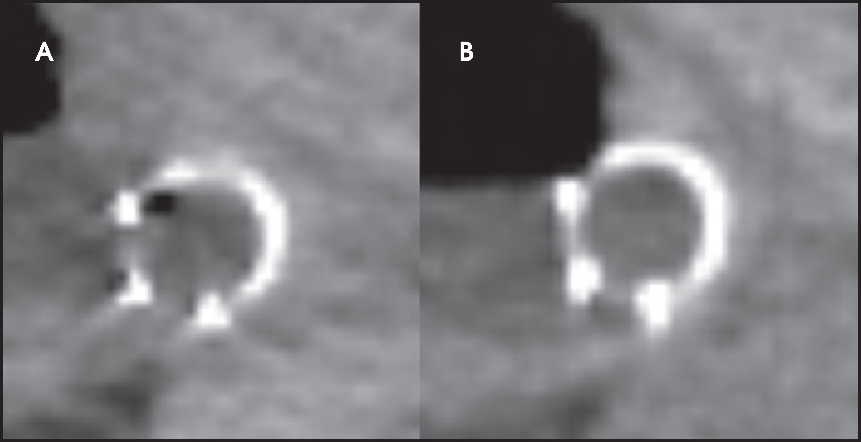 FIGURE 12.