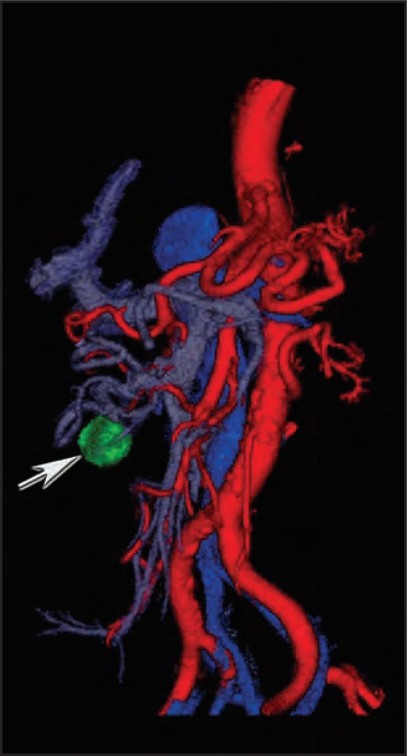 FIGURE 18.