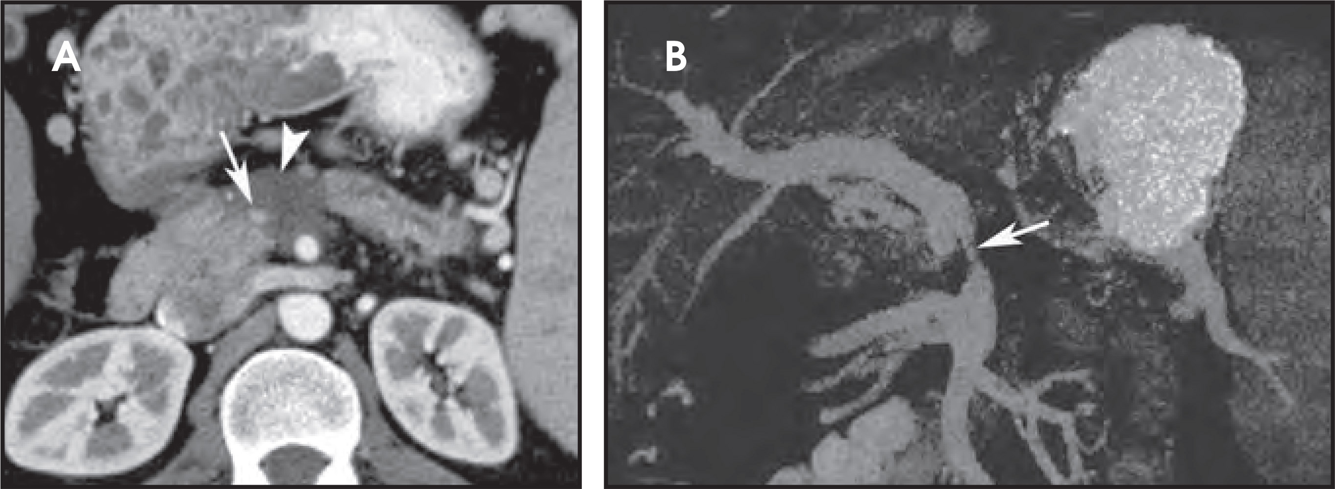 FIGURE 19.