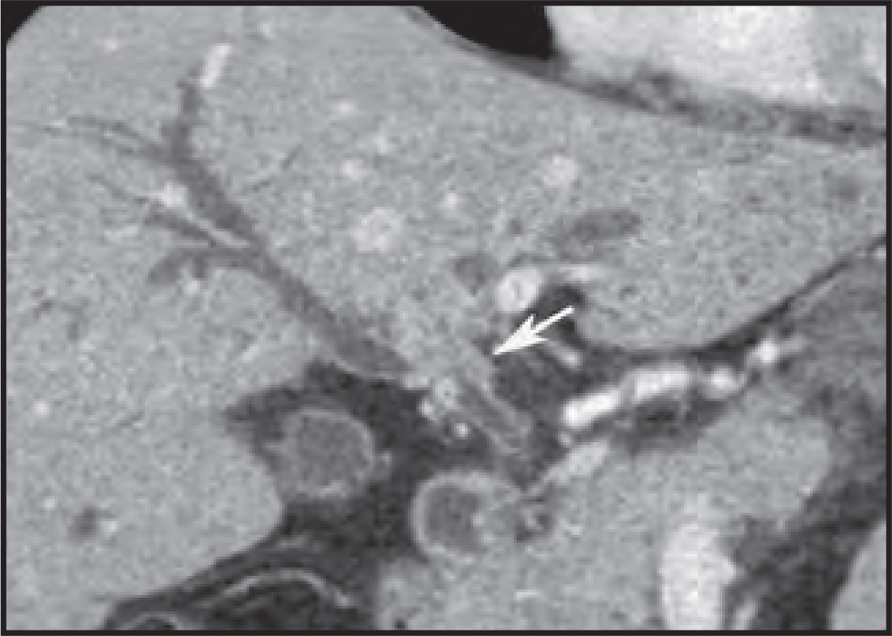 FIGURE 20.