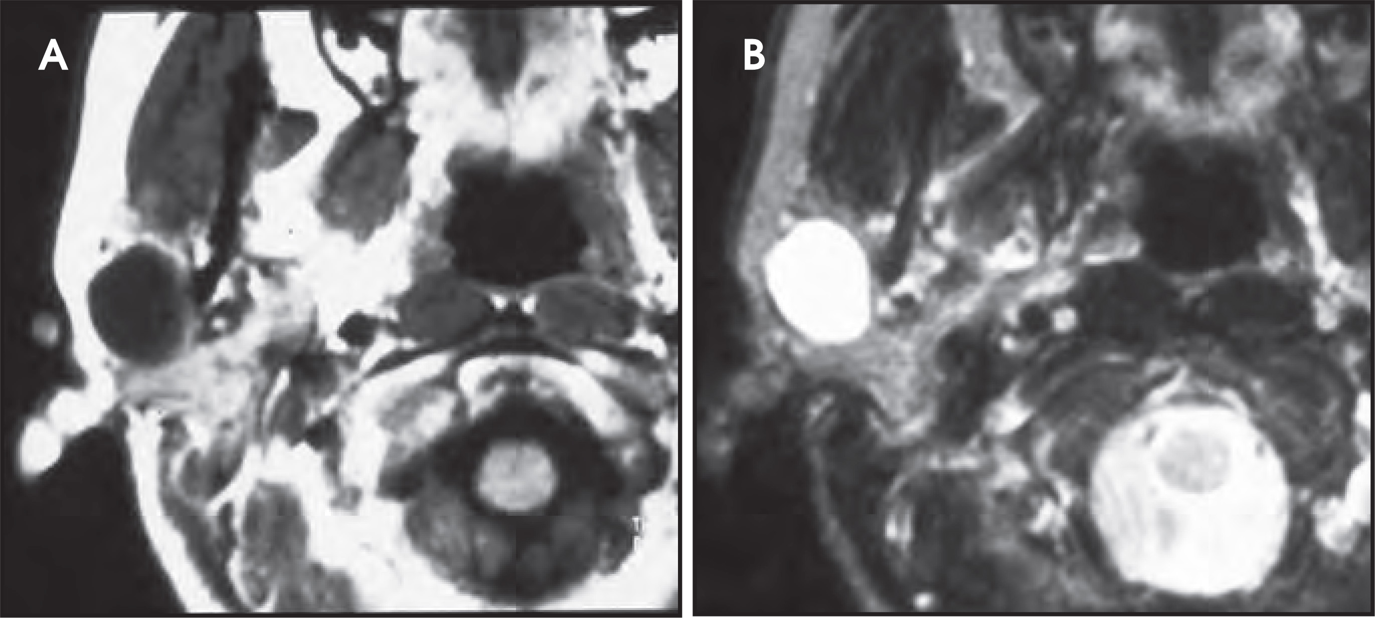 FIGURE 7.