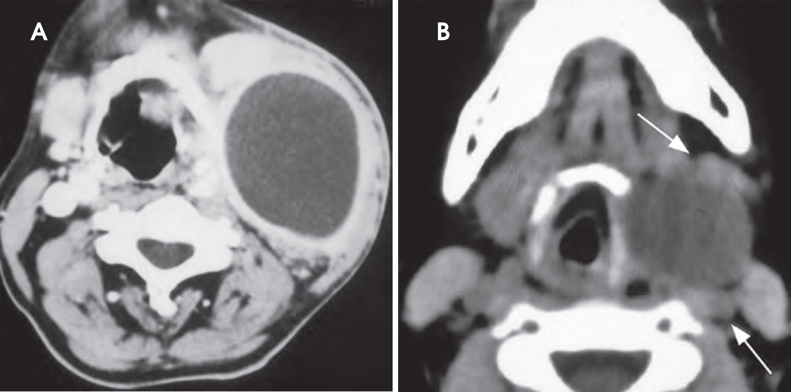 FIGURE 12.