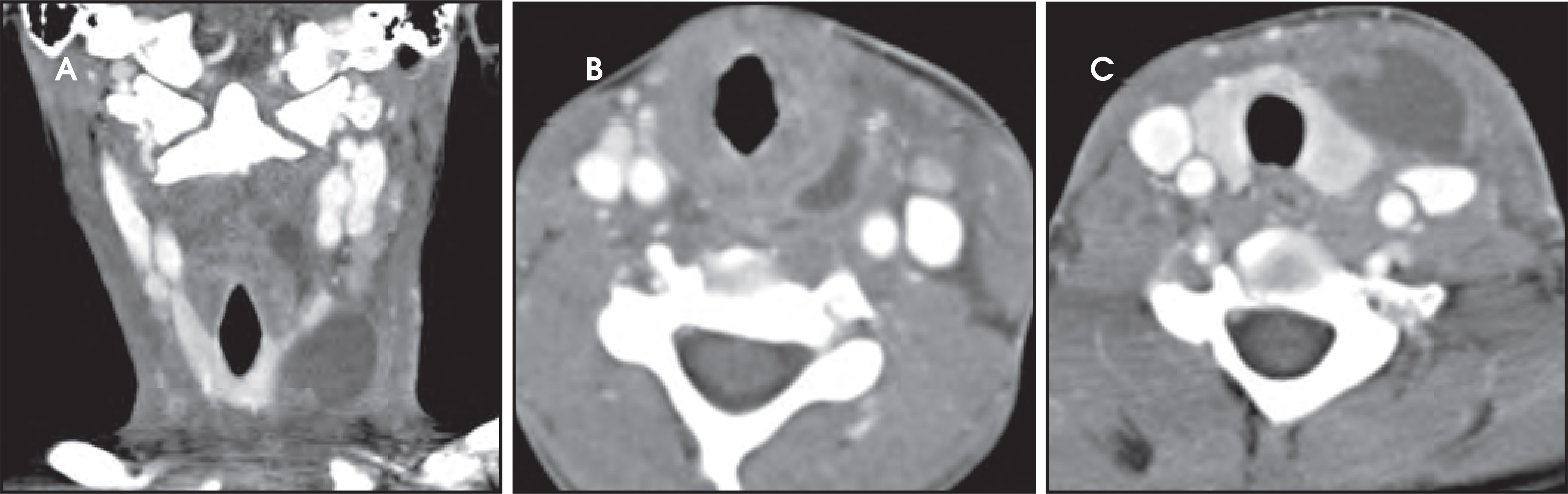 FIGURE 13.