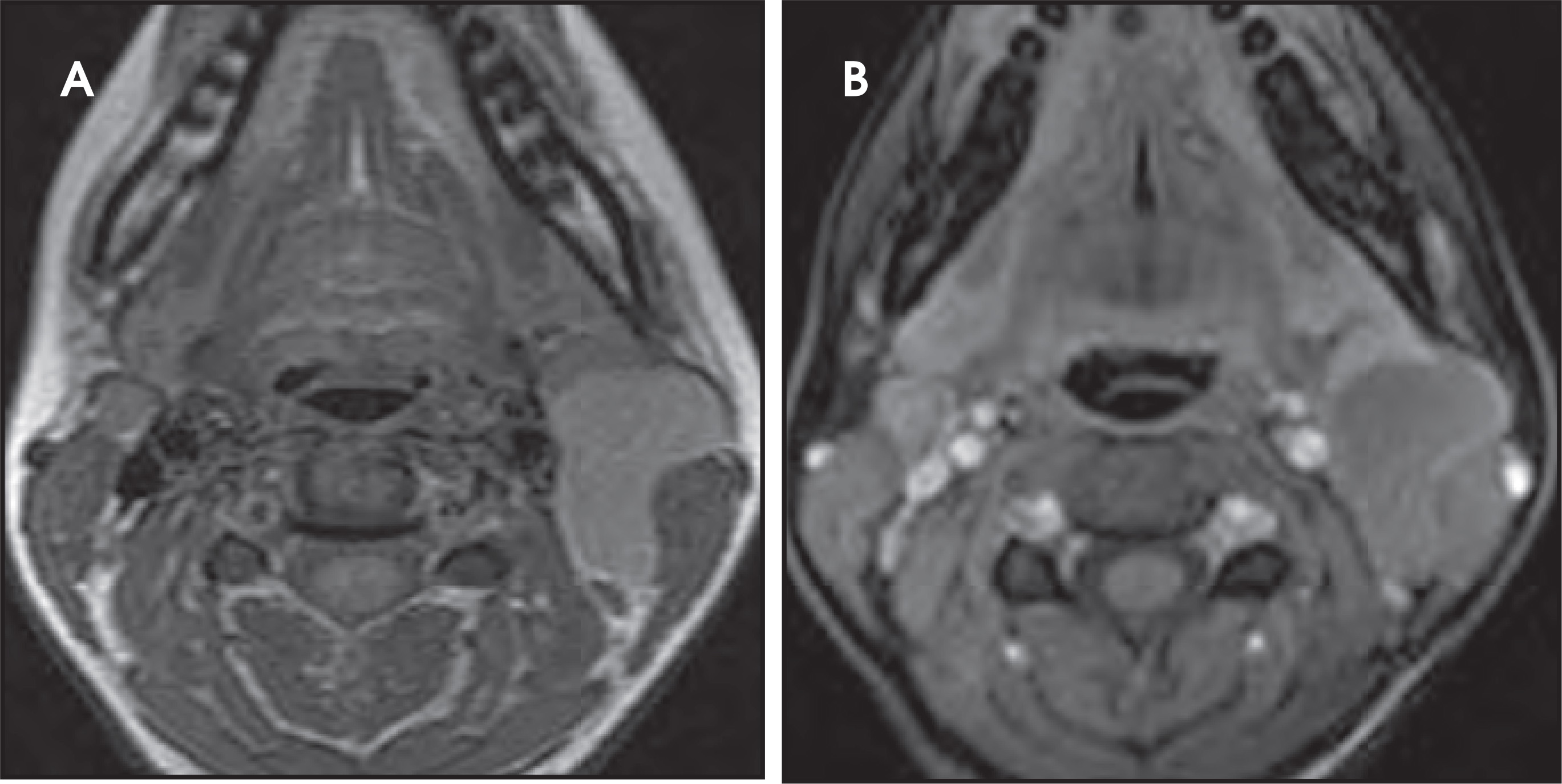 FIGURE 16.
