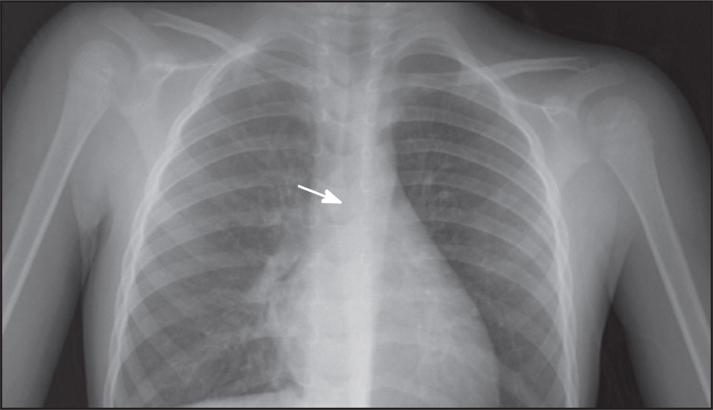 FIGURE 1.
