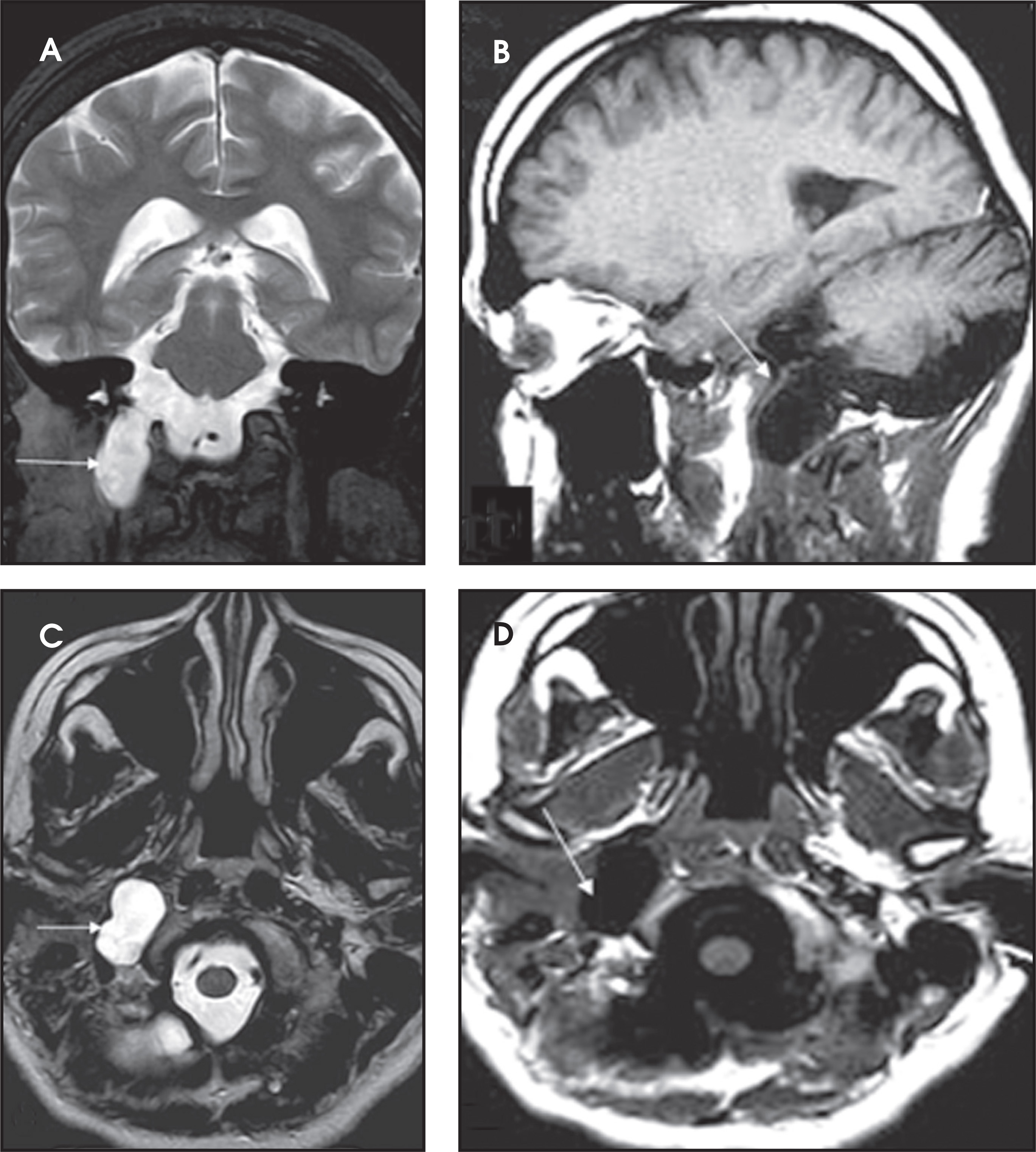 FIGURE 1.