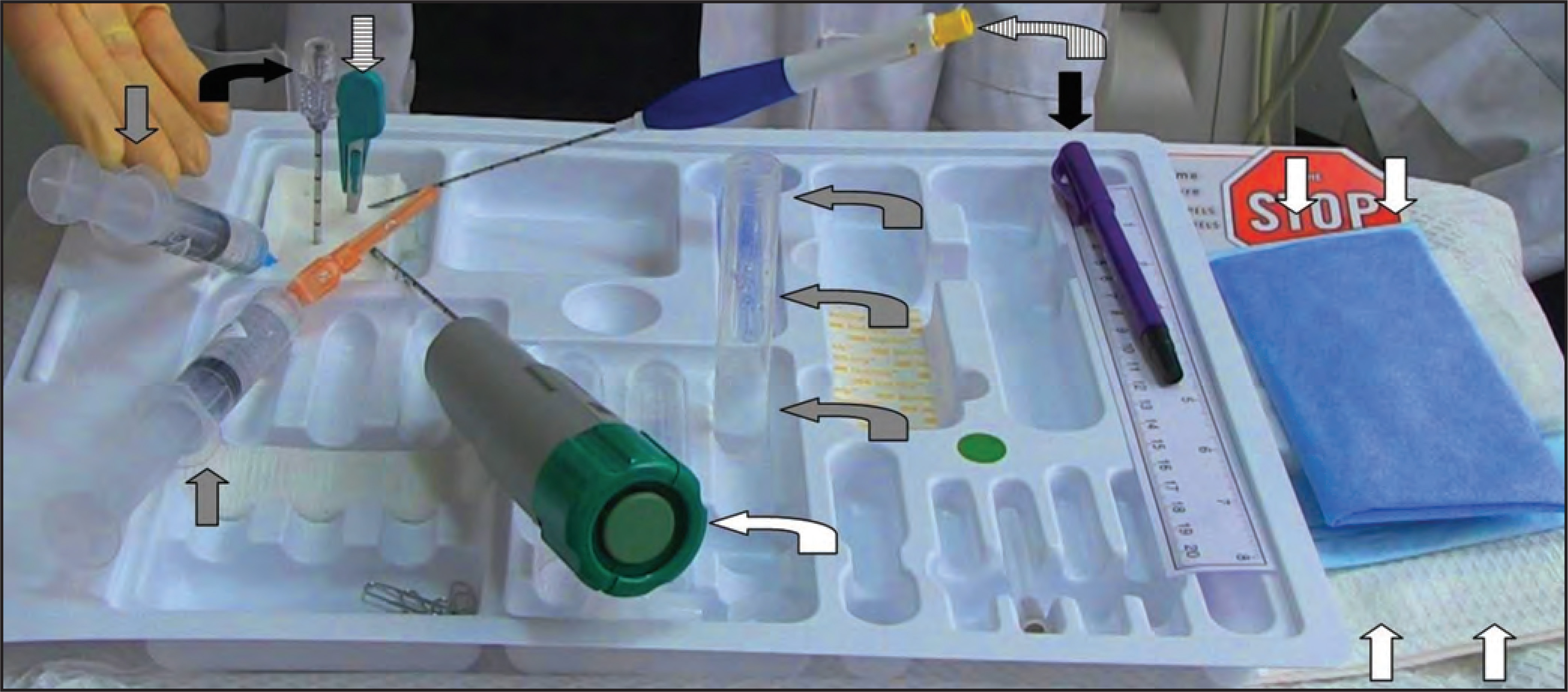 FIGURE 1.
