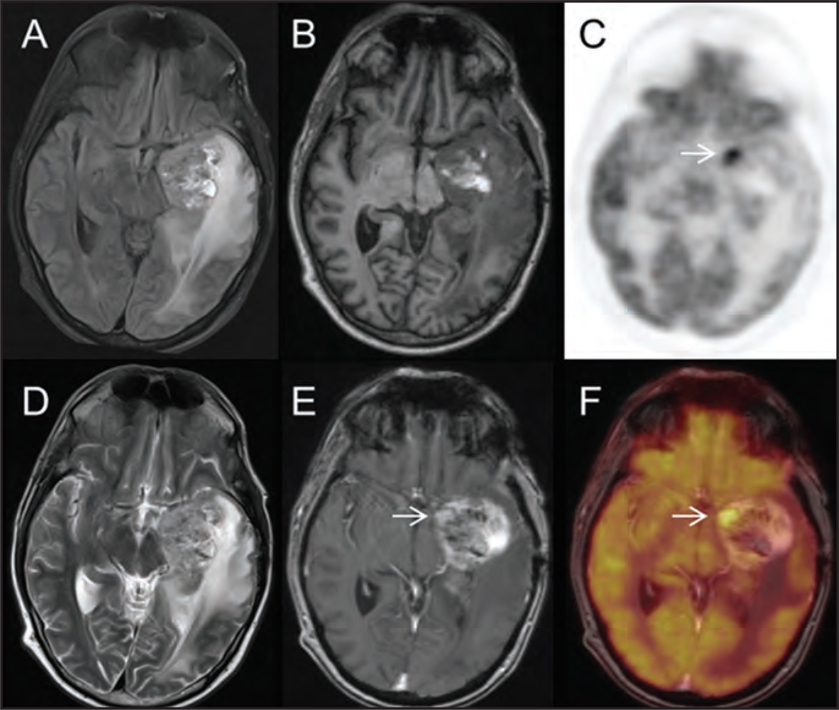 FIGURE 1.