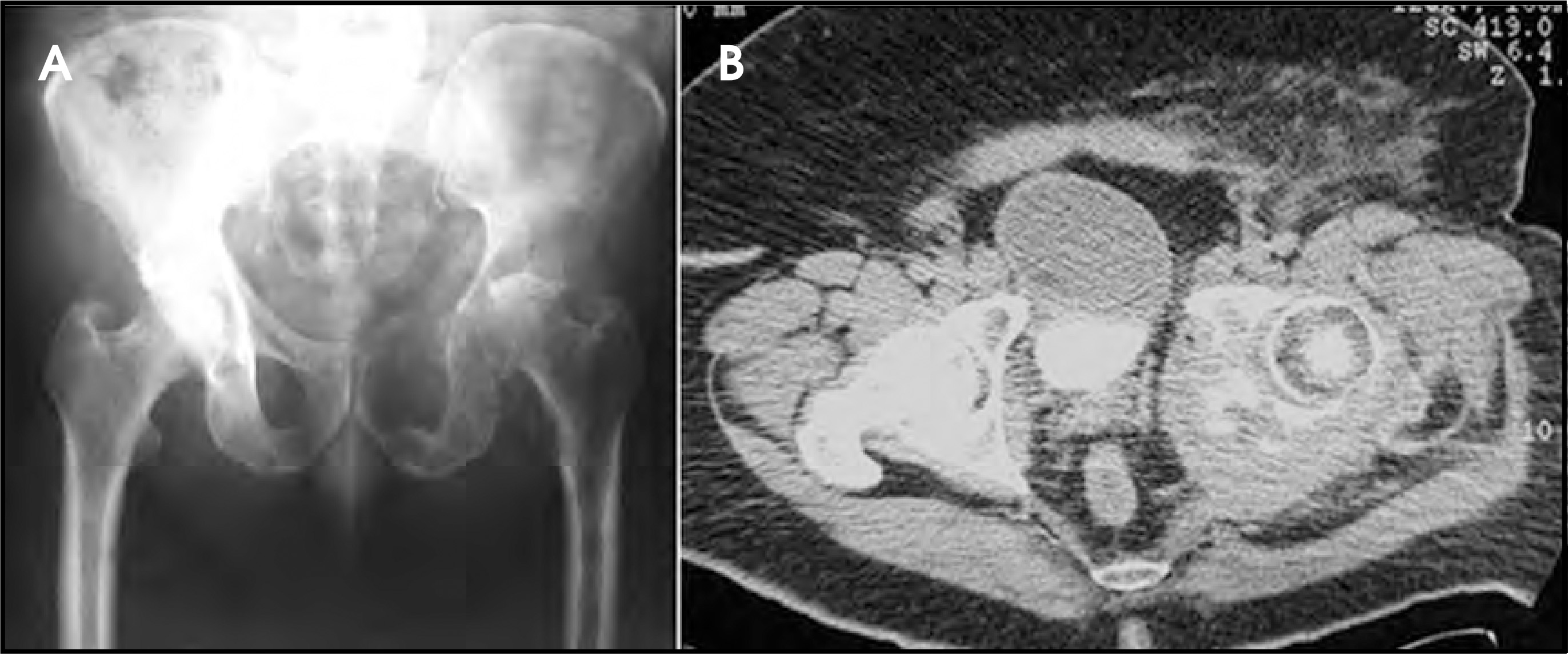FIGURE 1.