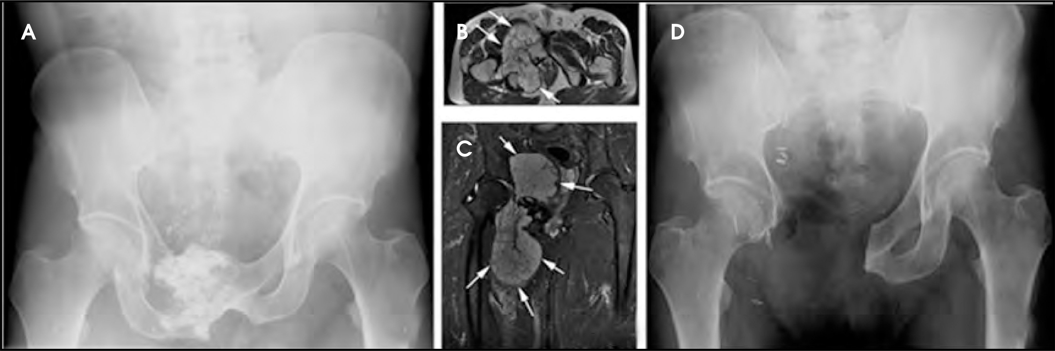 FIGURE 4.