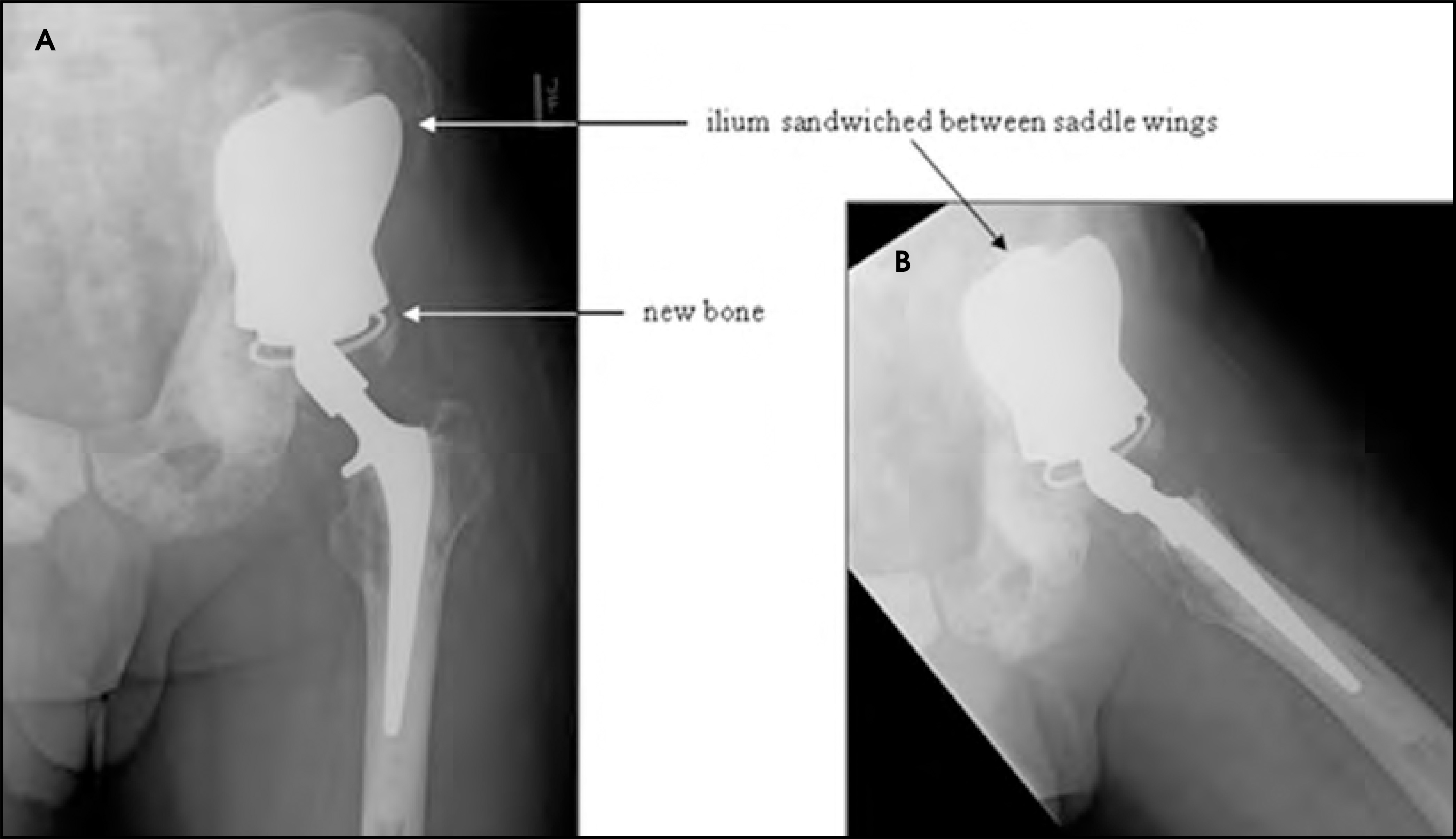 FIGURE 12.