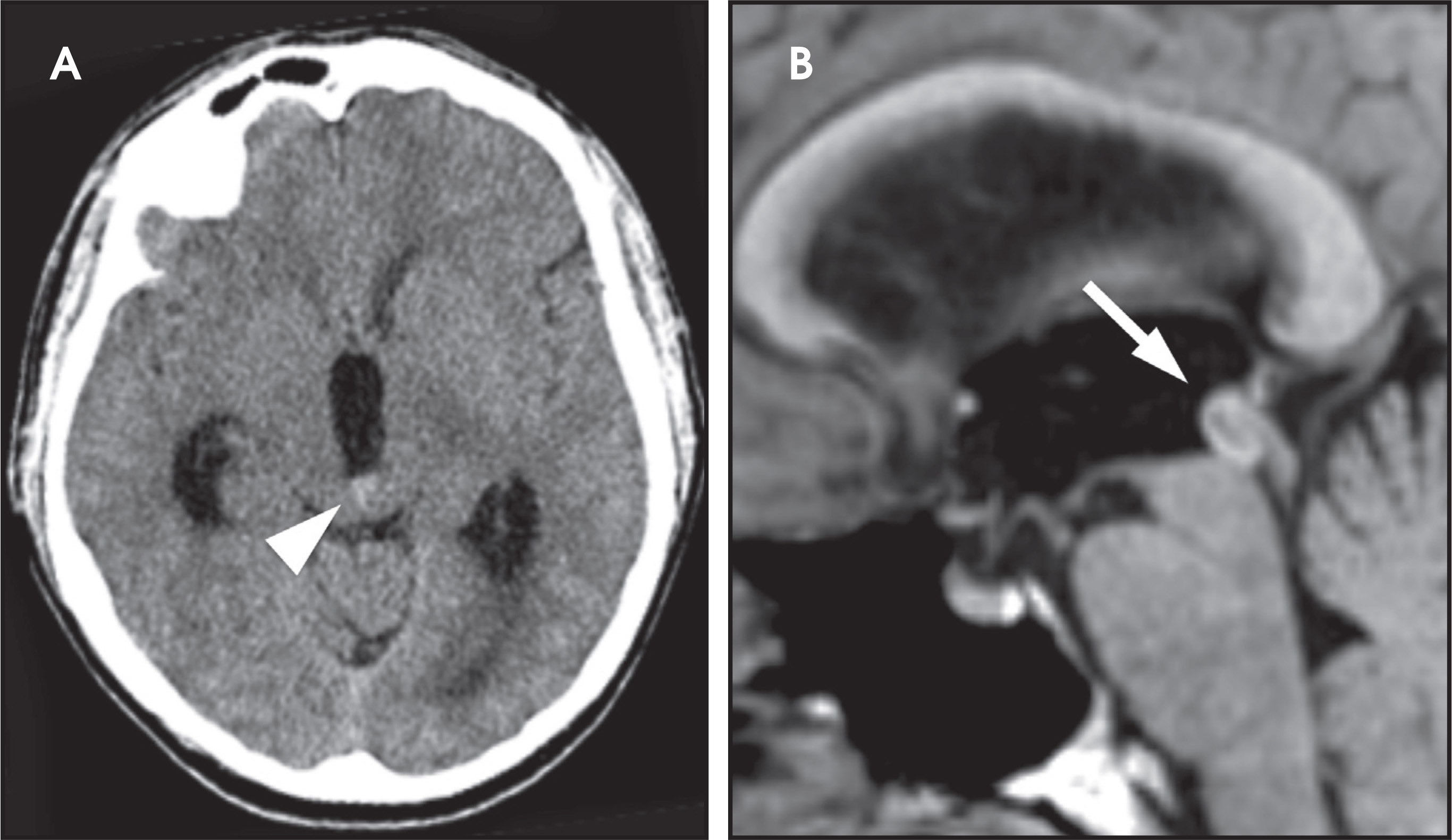 FIGURE 7.