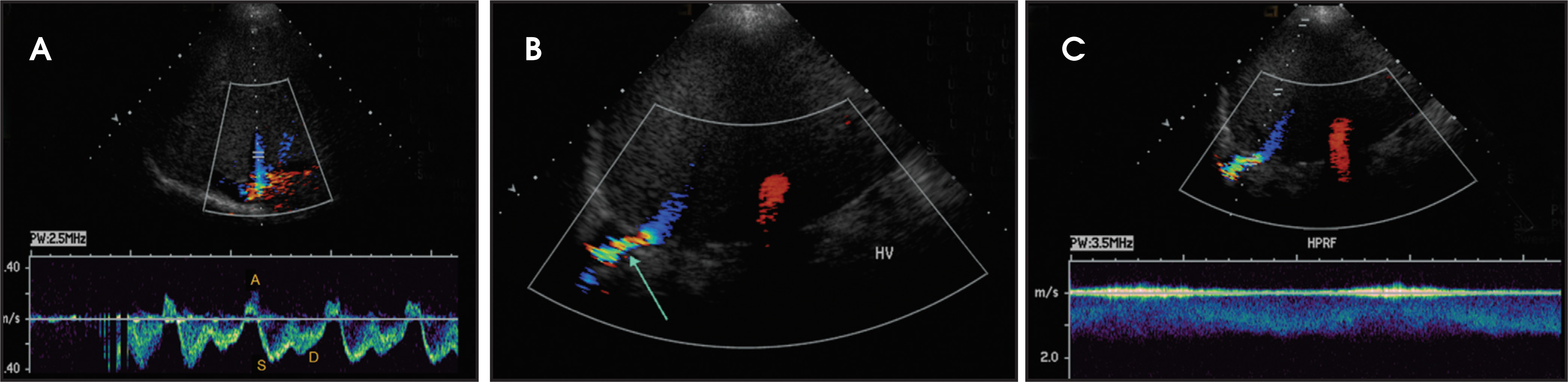 FIGURE 4.