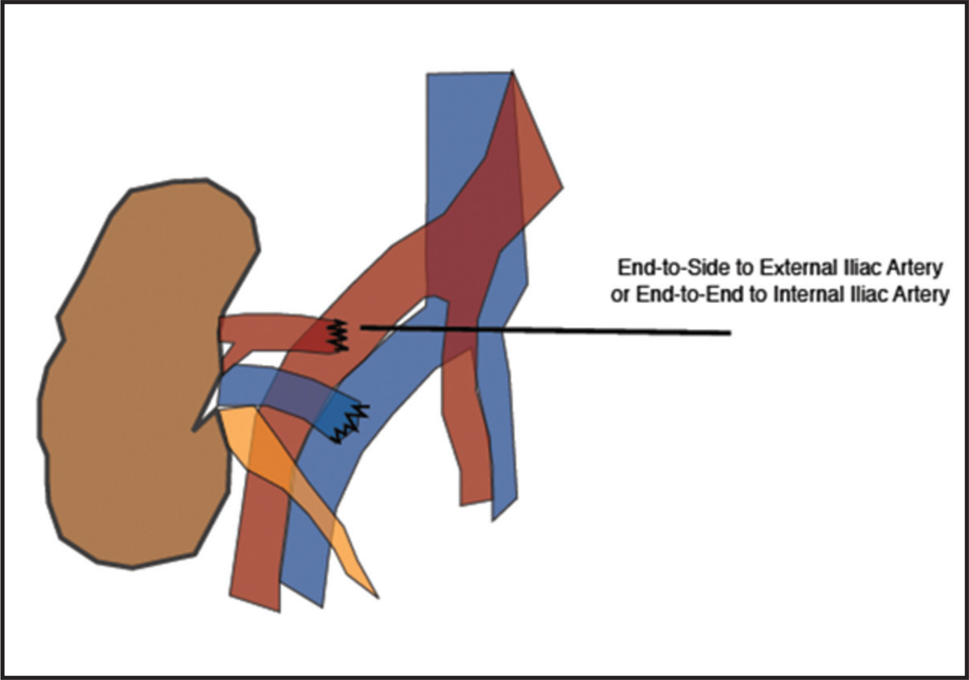 FIGURE 9.