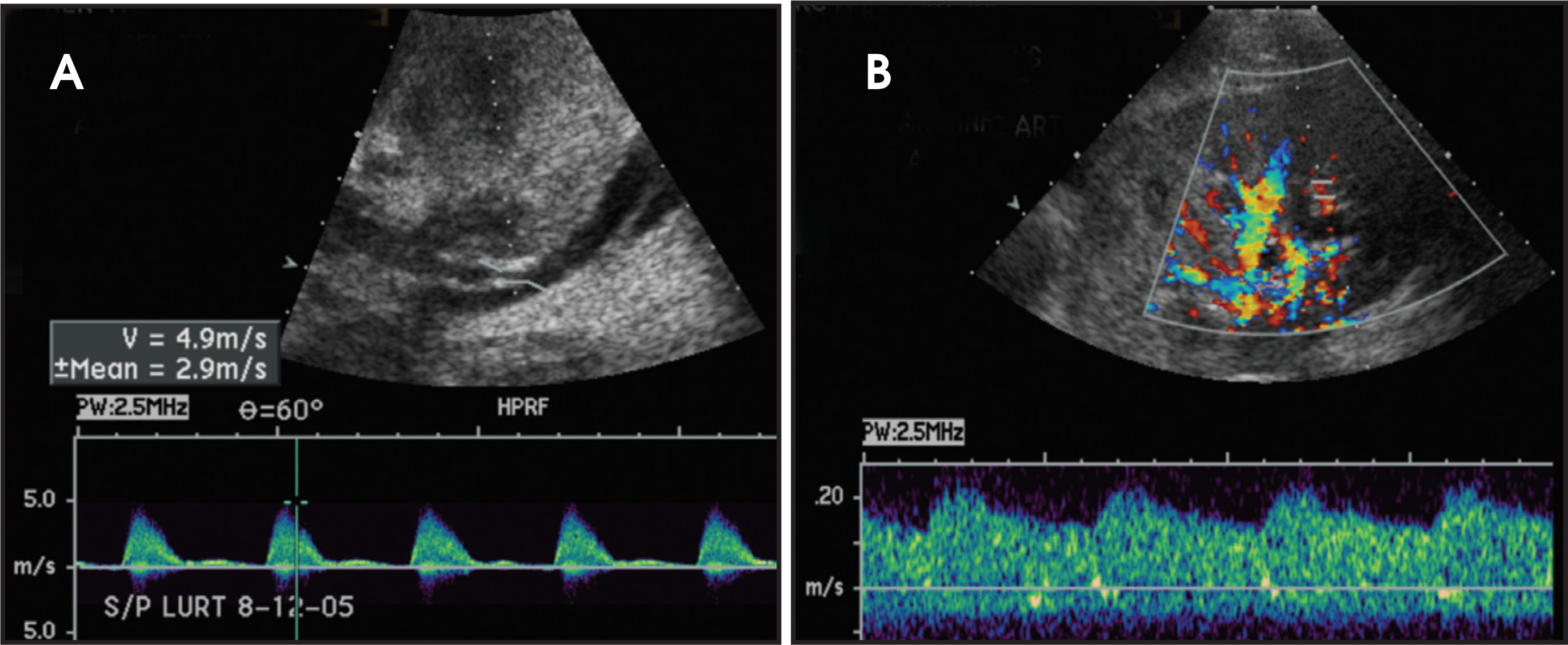 FIGURE 12.