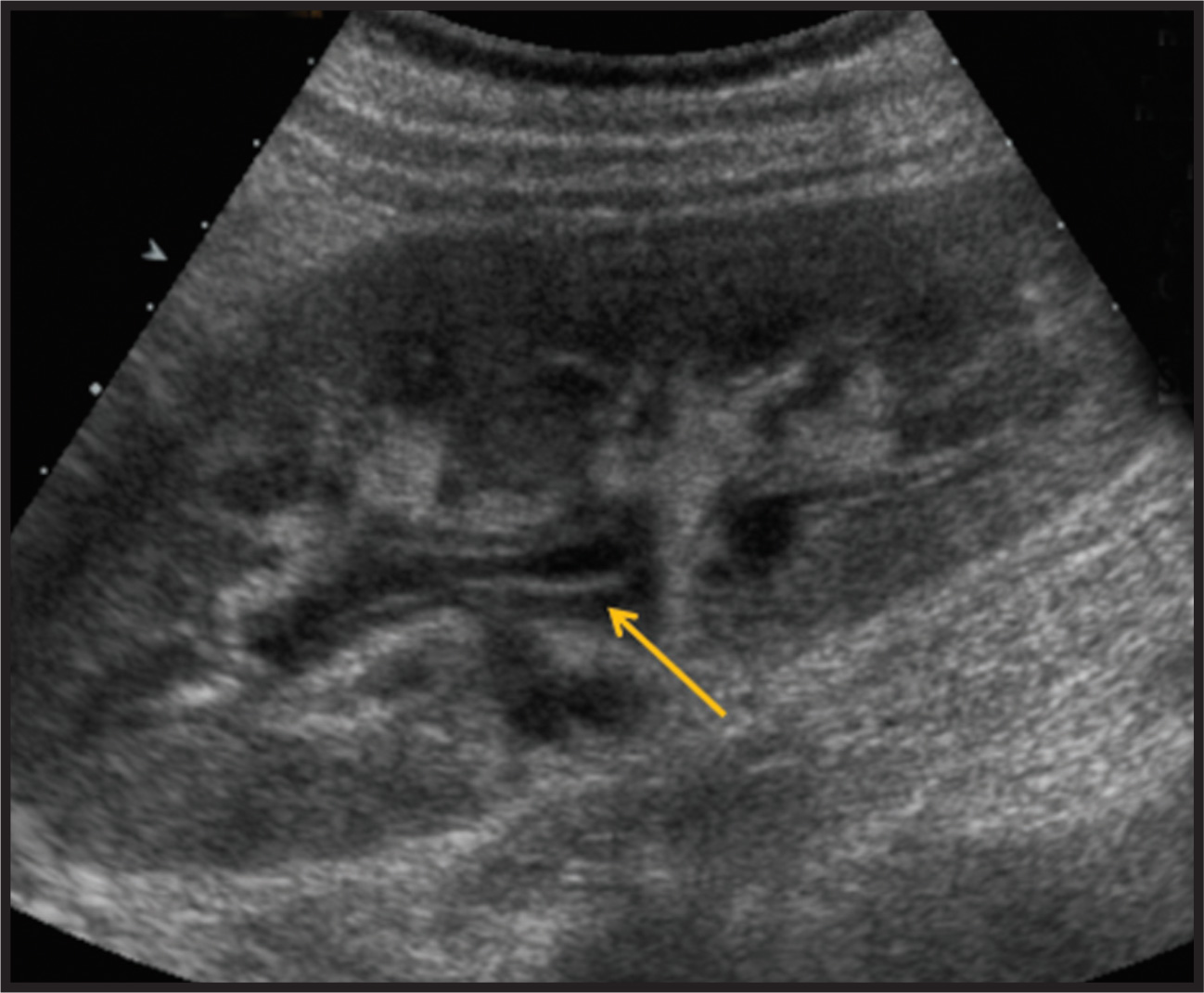 FIGURE 15.