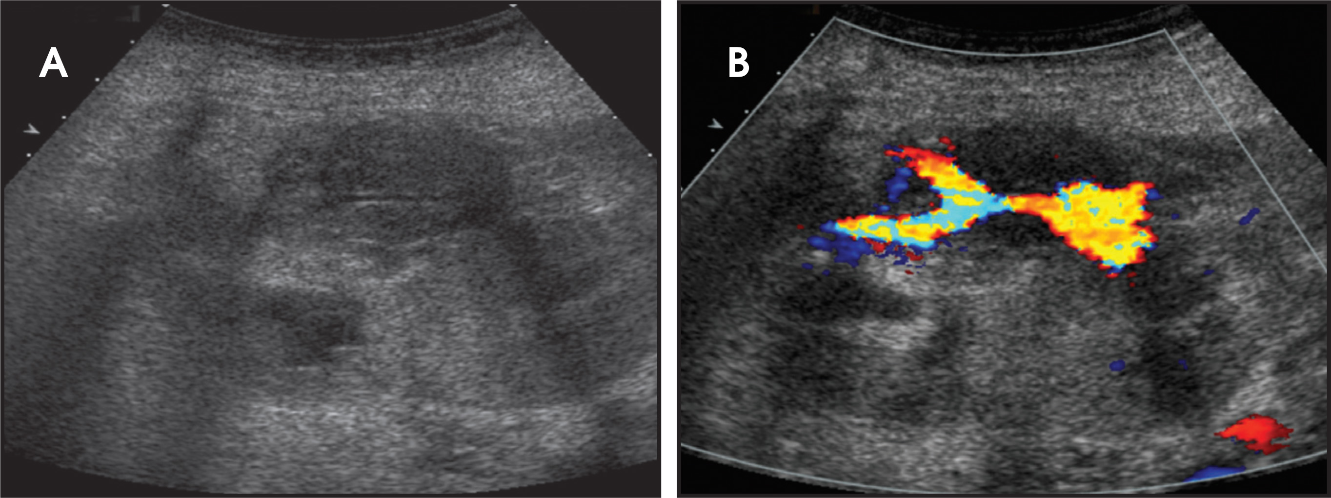 FIGURE 16.