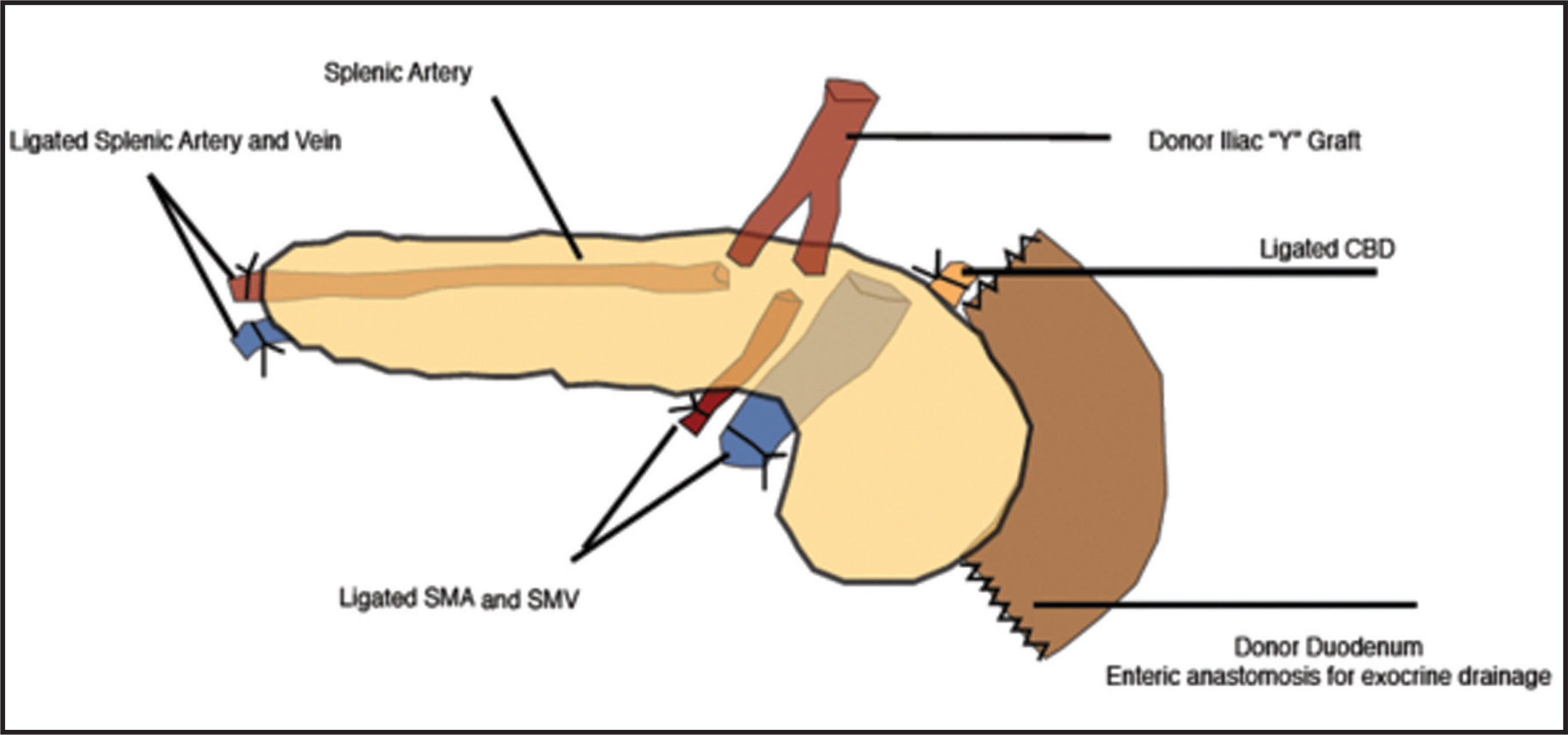 FIGURE 18.