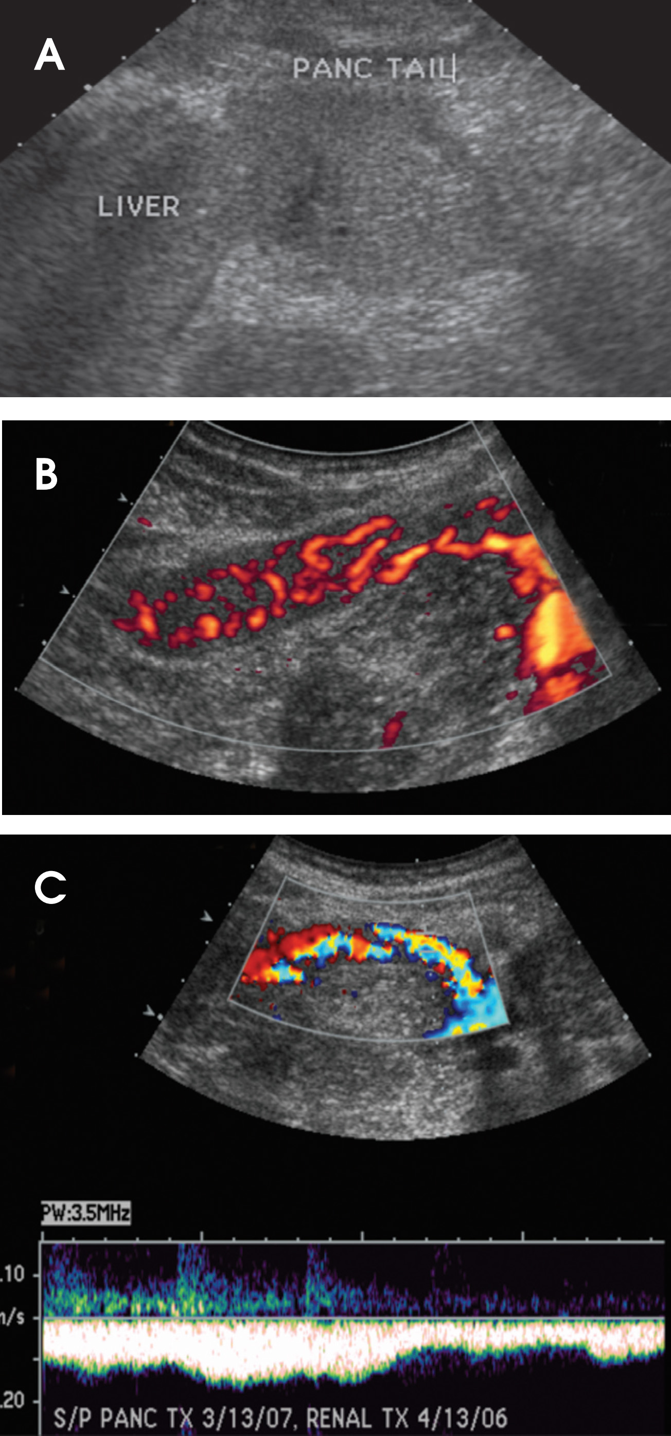 FIGURE 19.