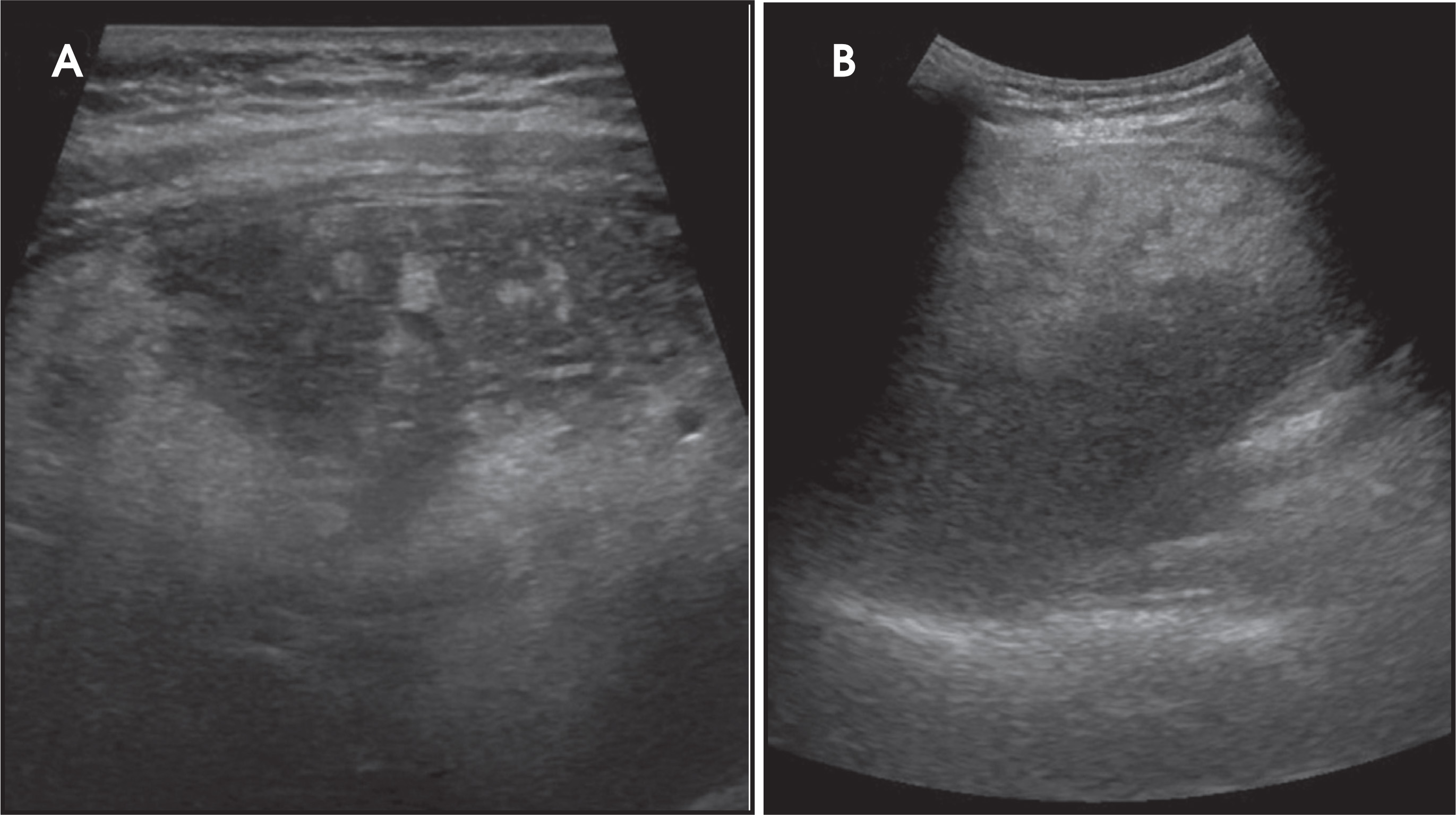 FIGURE 22.