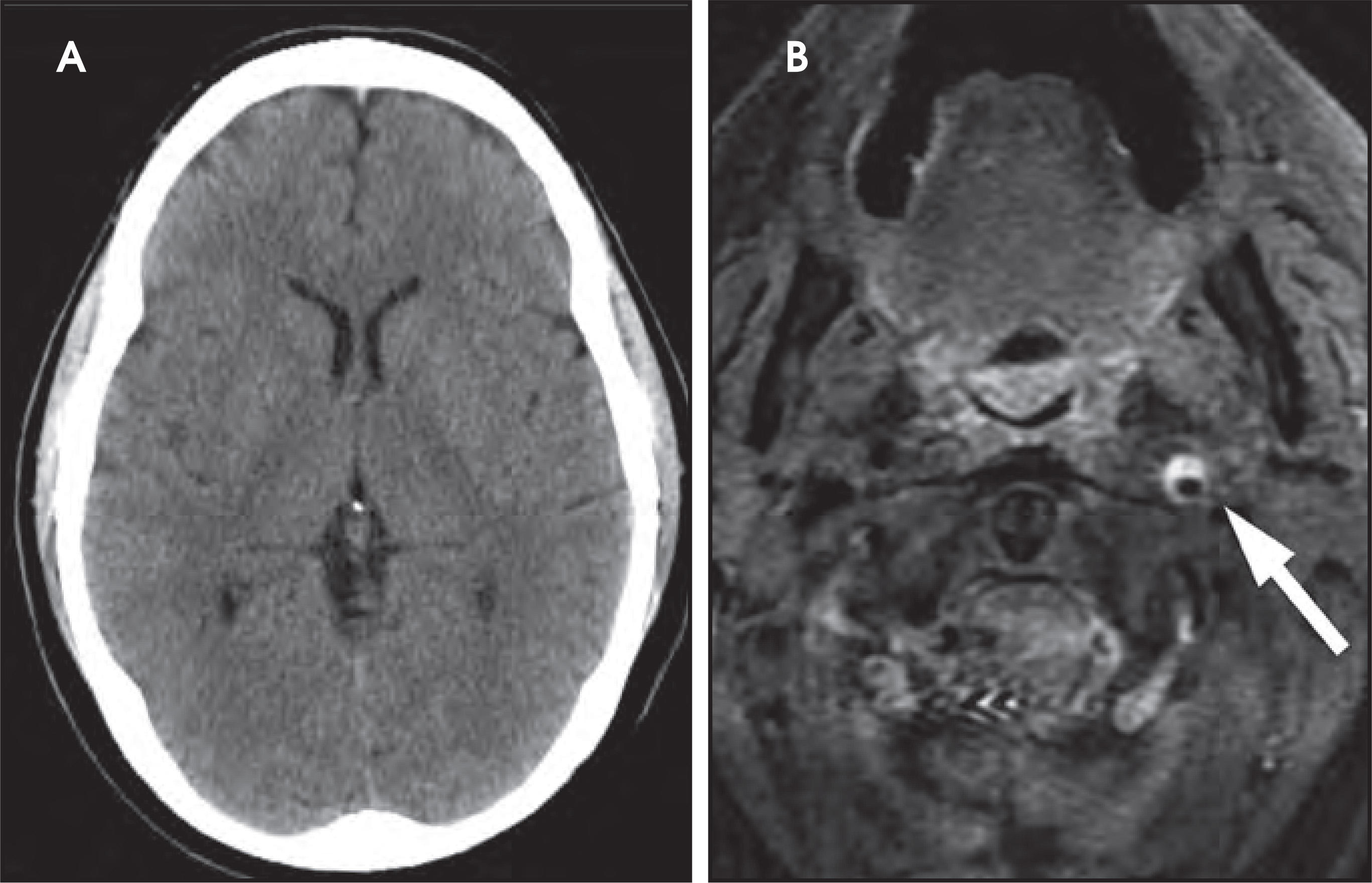 FIGURE 3.