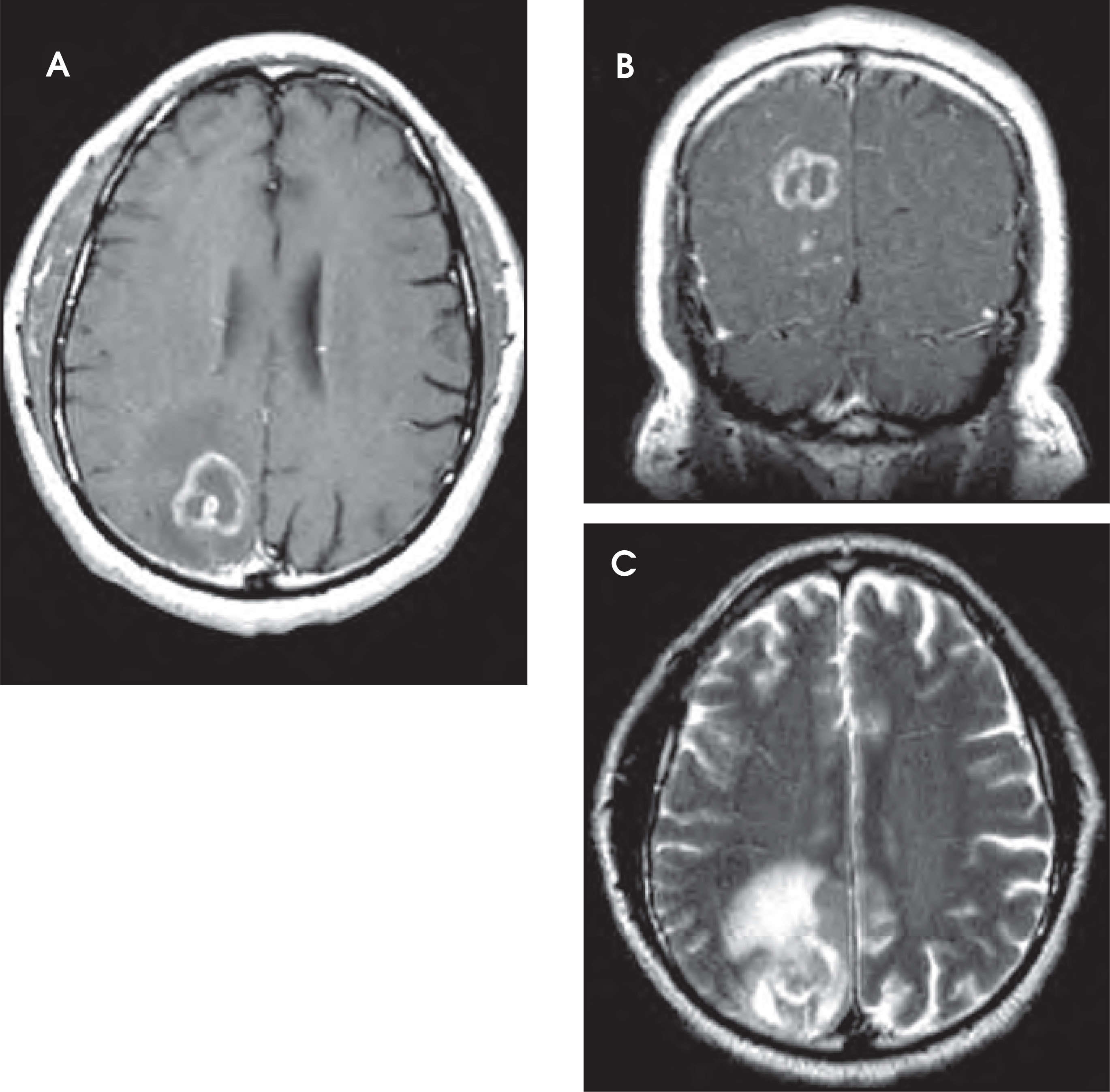 FIGURE 1.