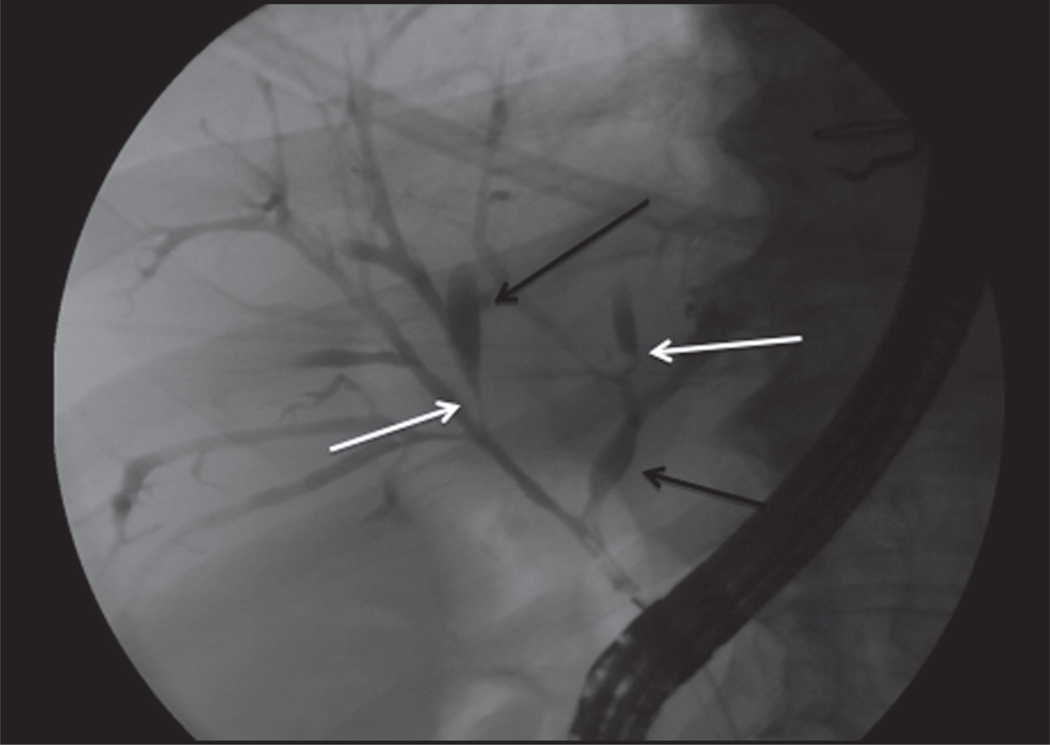 FIGURE 13.