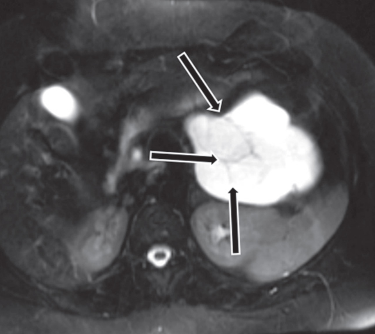 FIGURE 16.