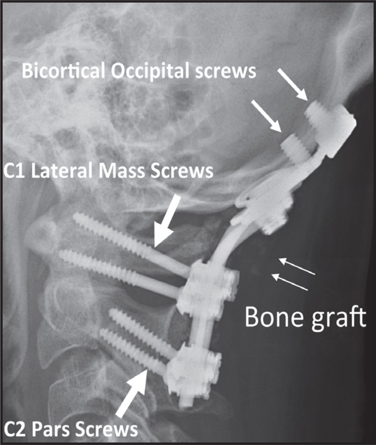 FIGURE 4.