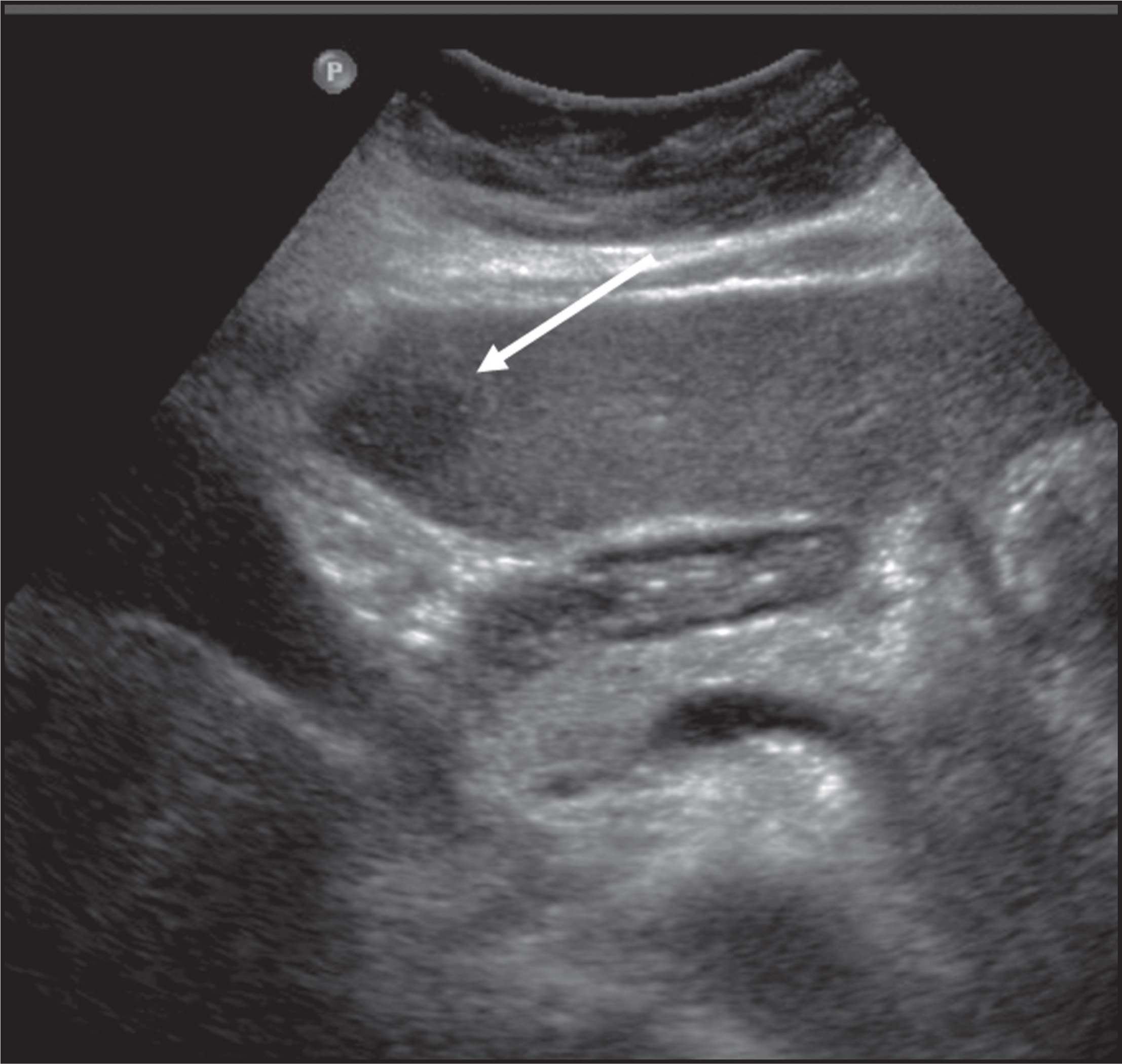 FIGURE 1.
