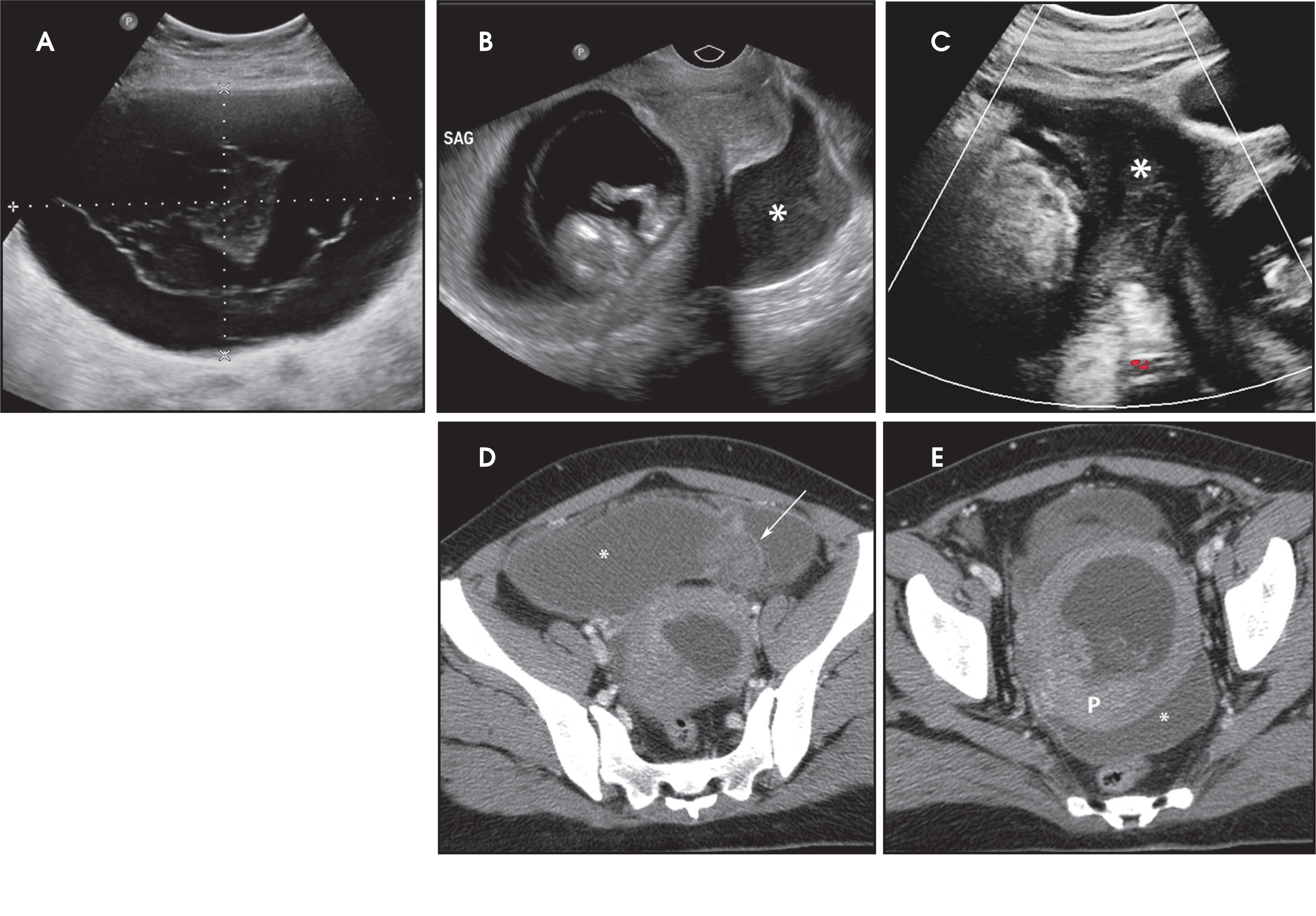 FIGURE 6.