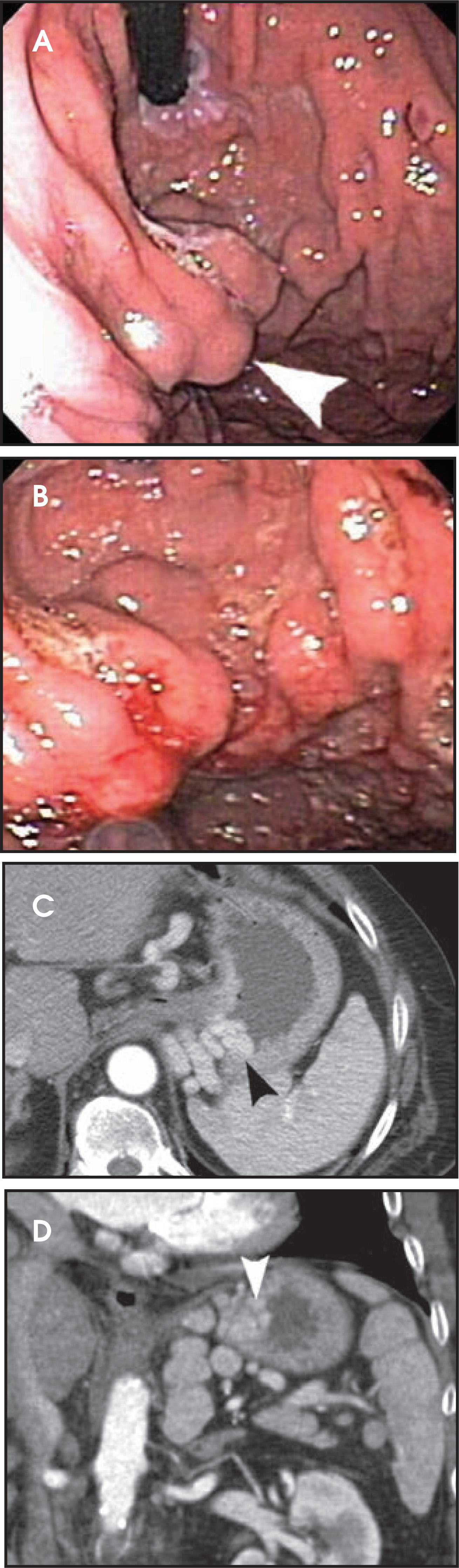 FIGURE 12.
