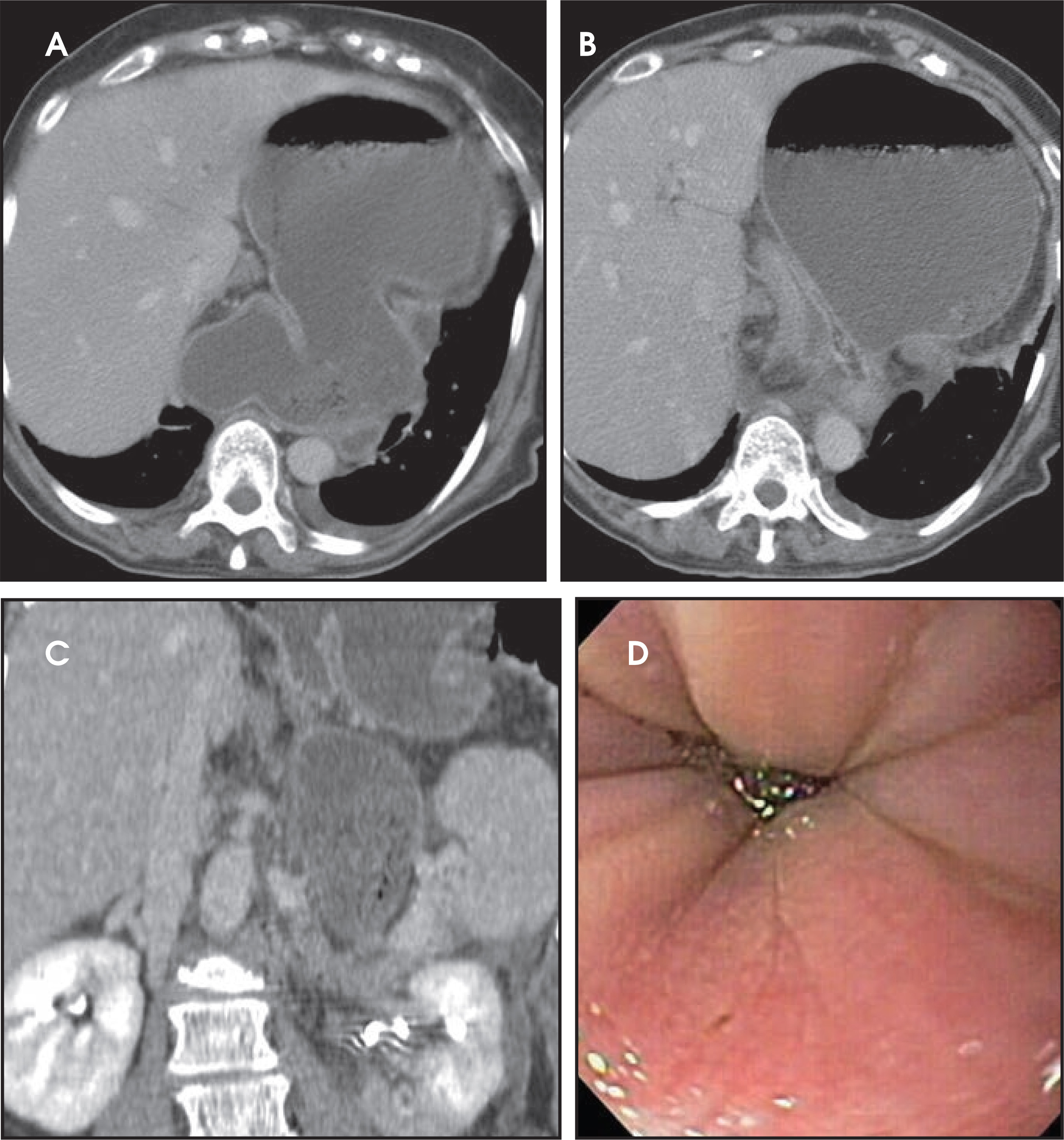 FIGURE 13.