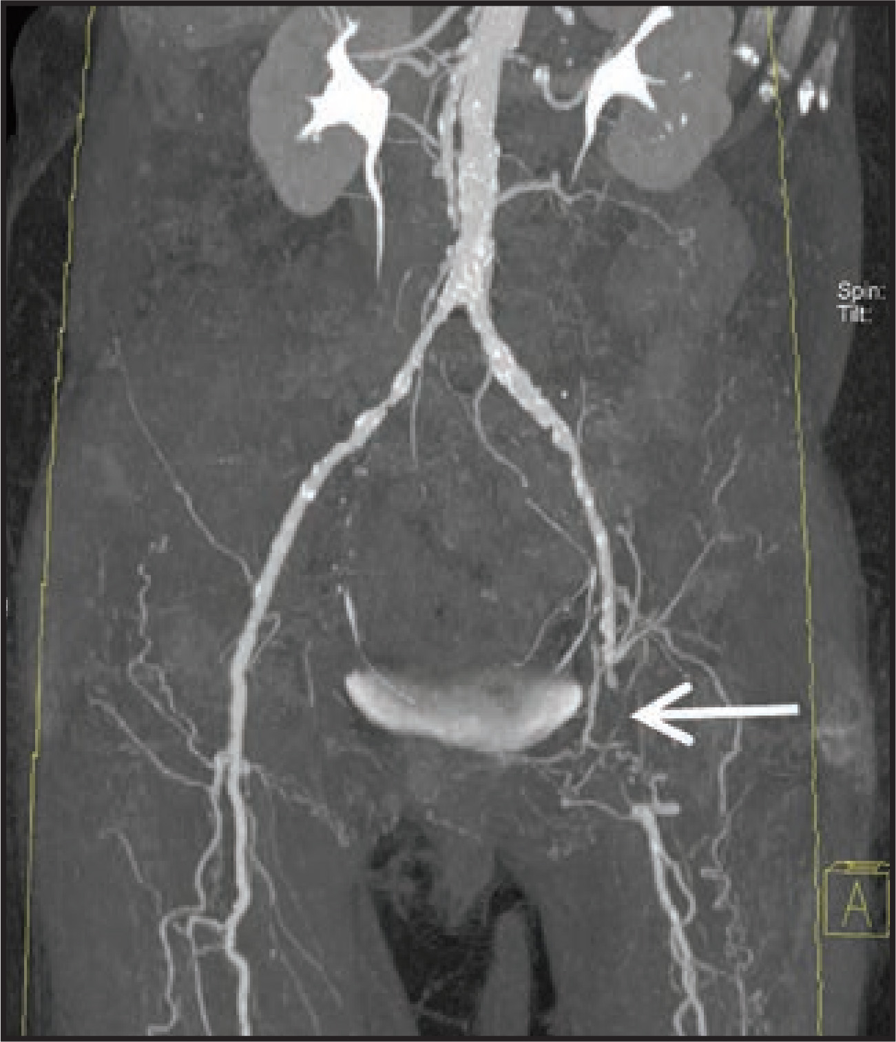 FIGURE 5.