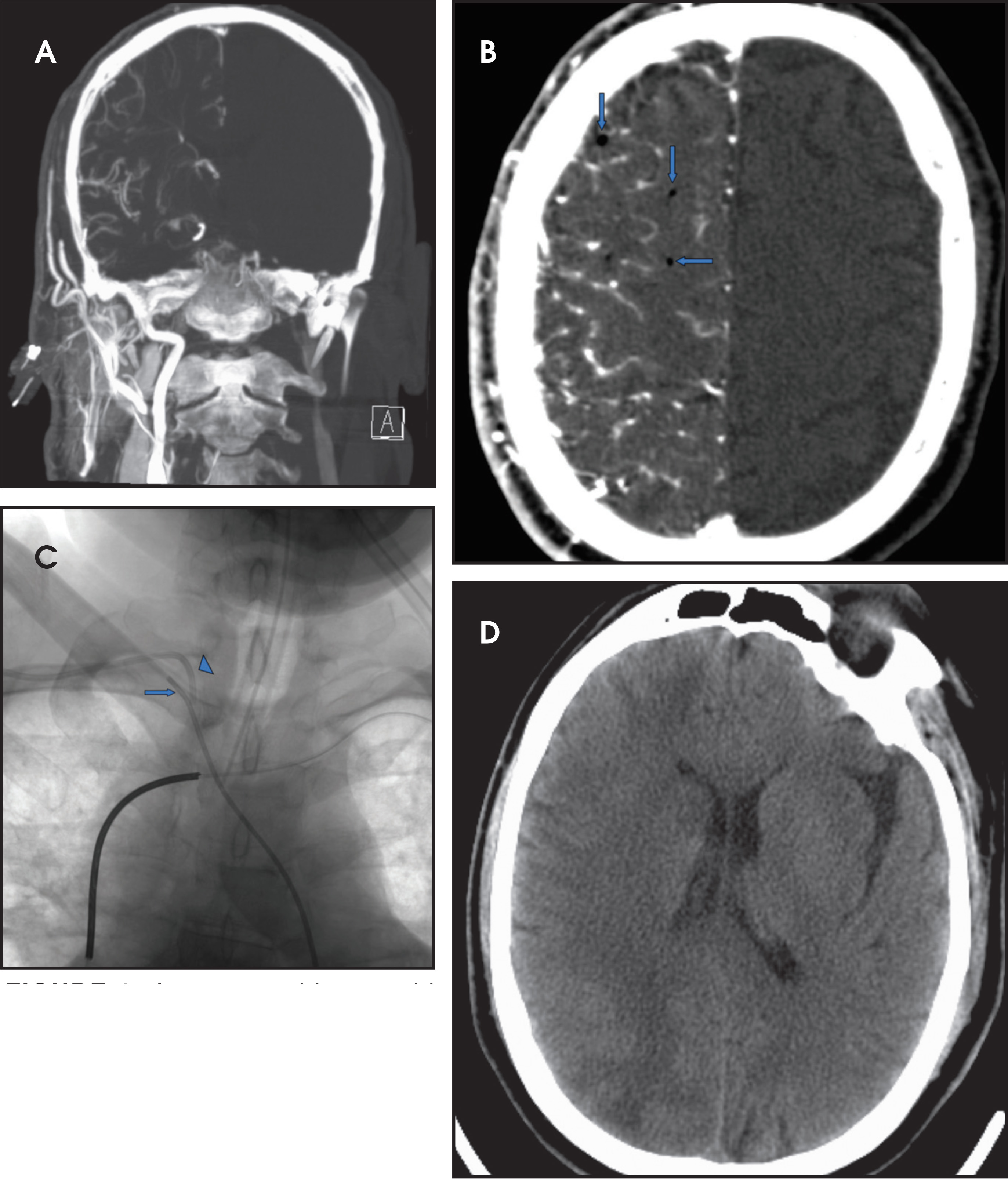 FIGURE 1.